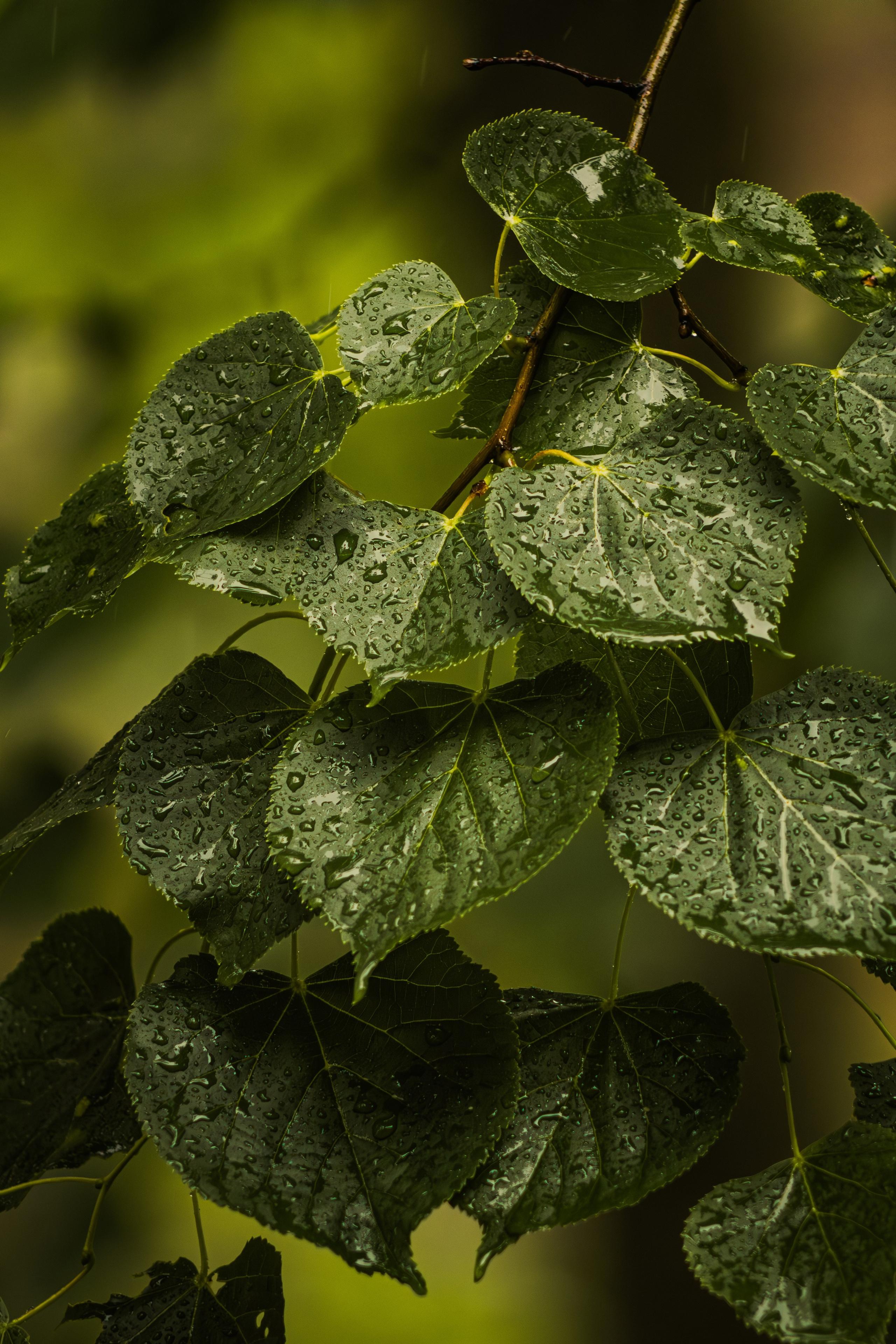 Без людей. Фотограф Крутой Максим