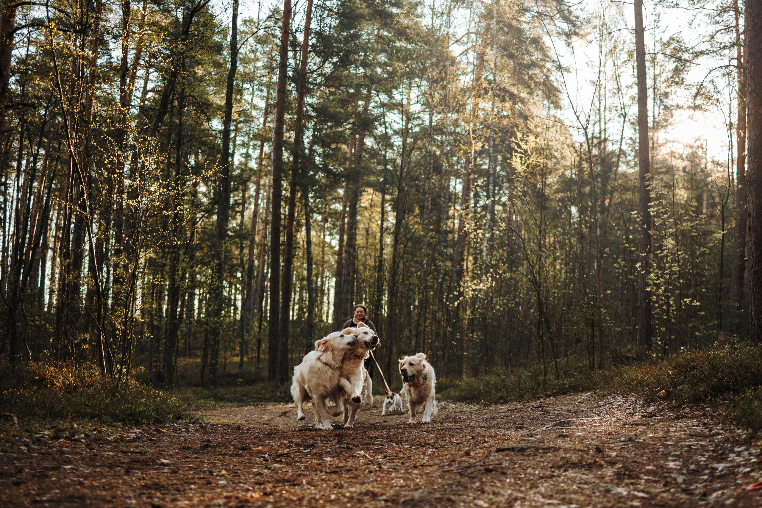 Катя и ее девочки. Фотограф — Анималист | Санкт-Петербург