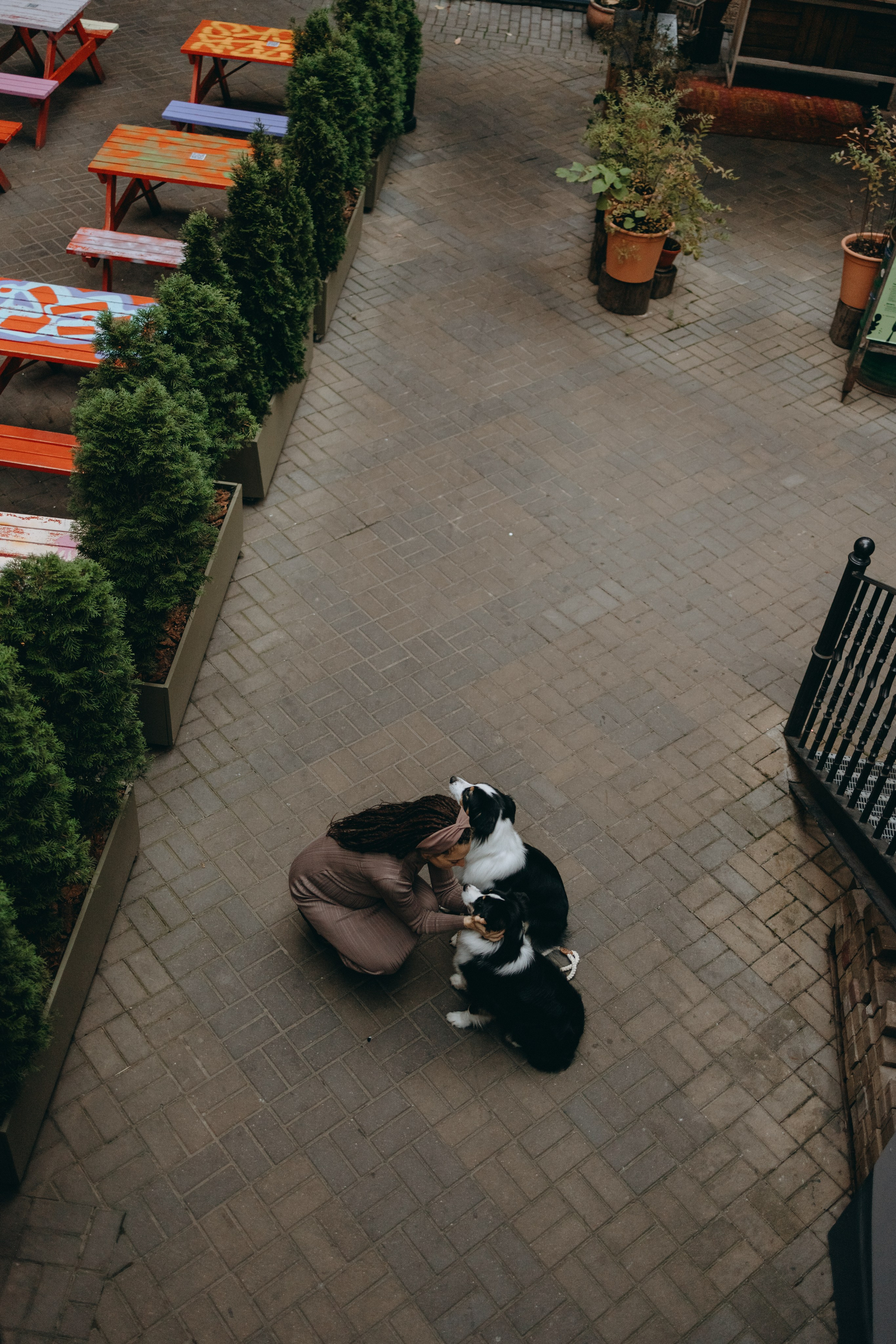 Катя и ее девочки. Фотограф — Анималист | Санкт-Петербург