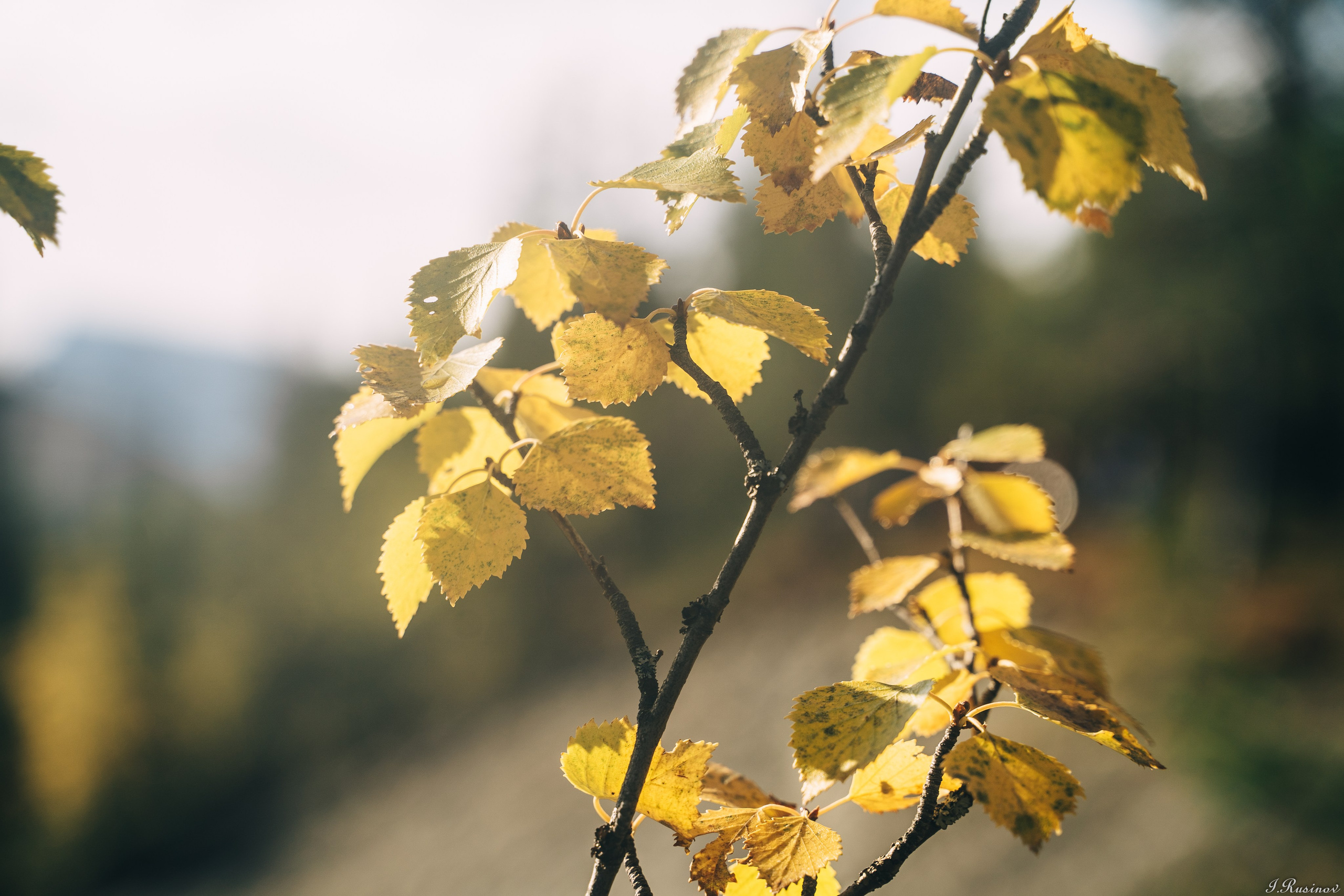 ХИБИНЫ 2021 г. Event фотограф Степанова Александра