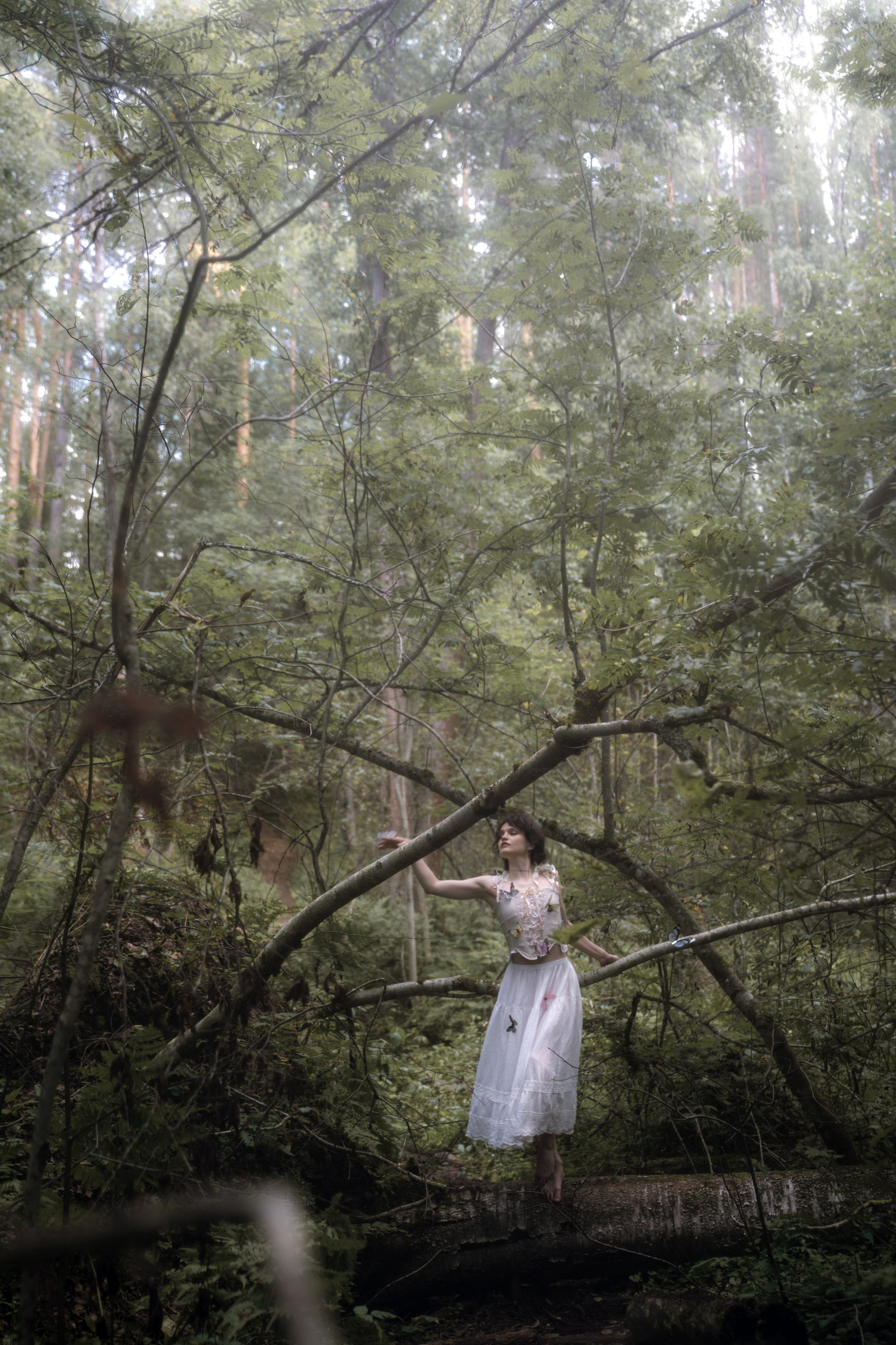 Арт-фотографии. Лилия Гоца. Гунфу Шаолинь. Арт-фотография. Ретриты