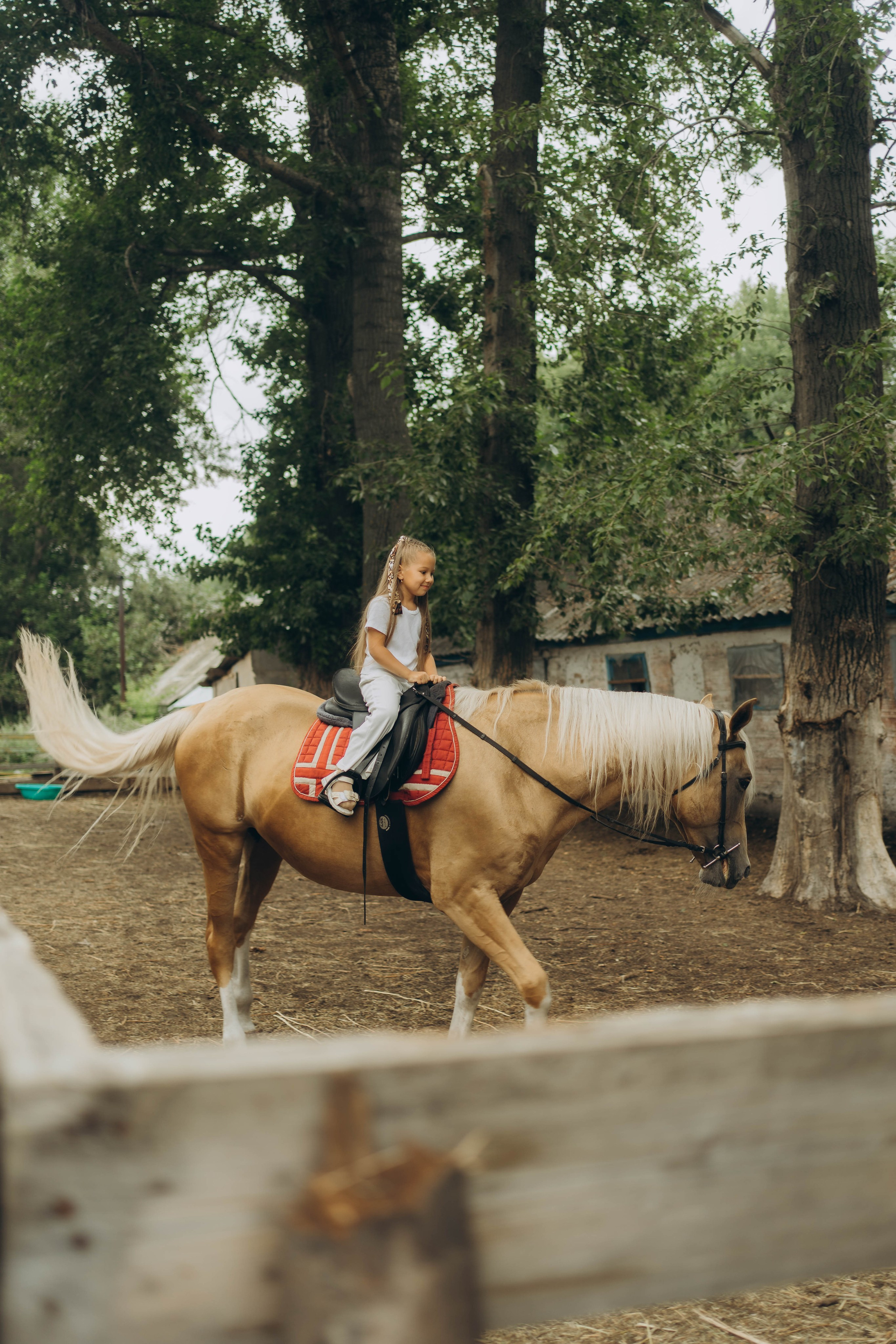 фотопроекты под ключ ульяновск