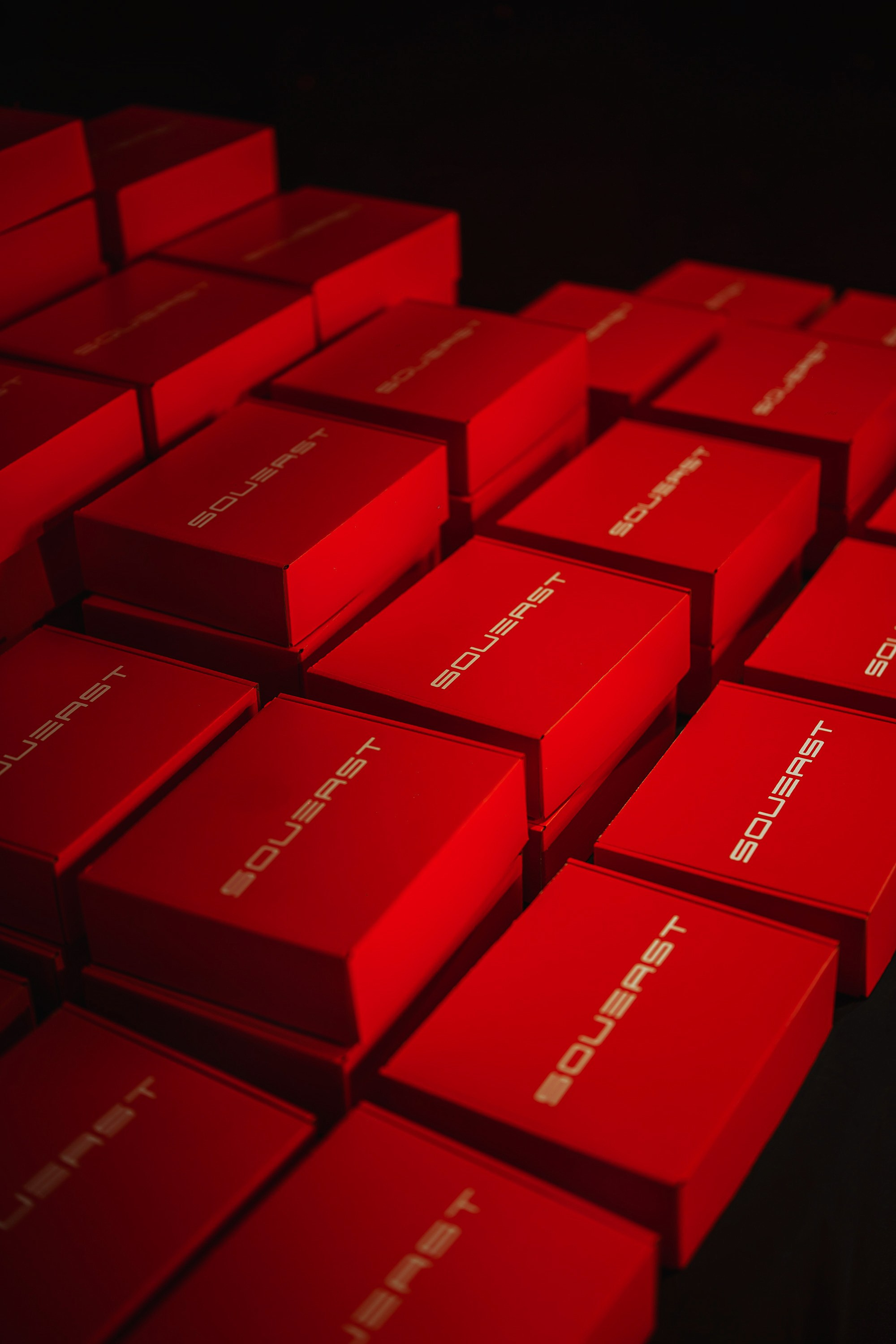 Презентация новых моделей SOUEAST. Фотограф TAULAN_1