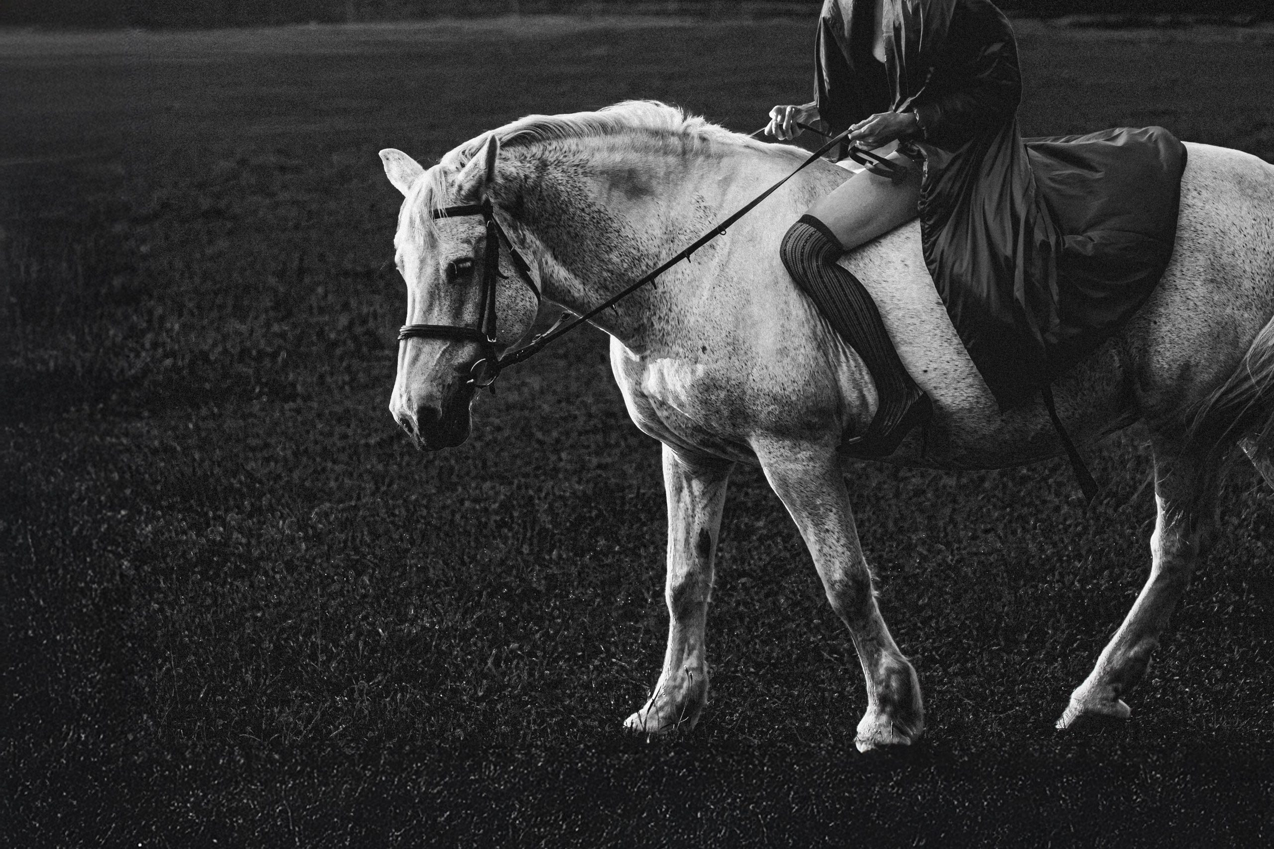 Девушка  на лошади