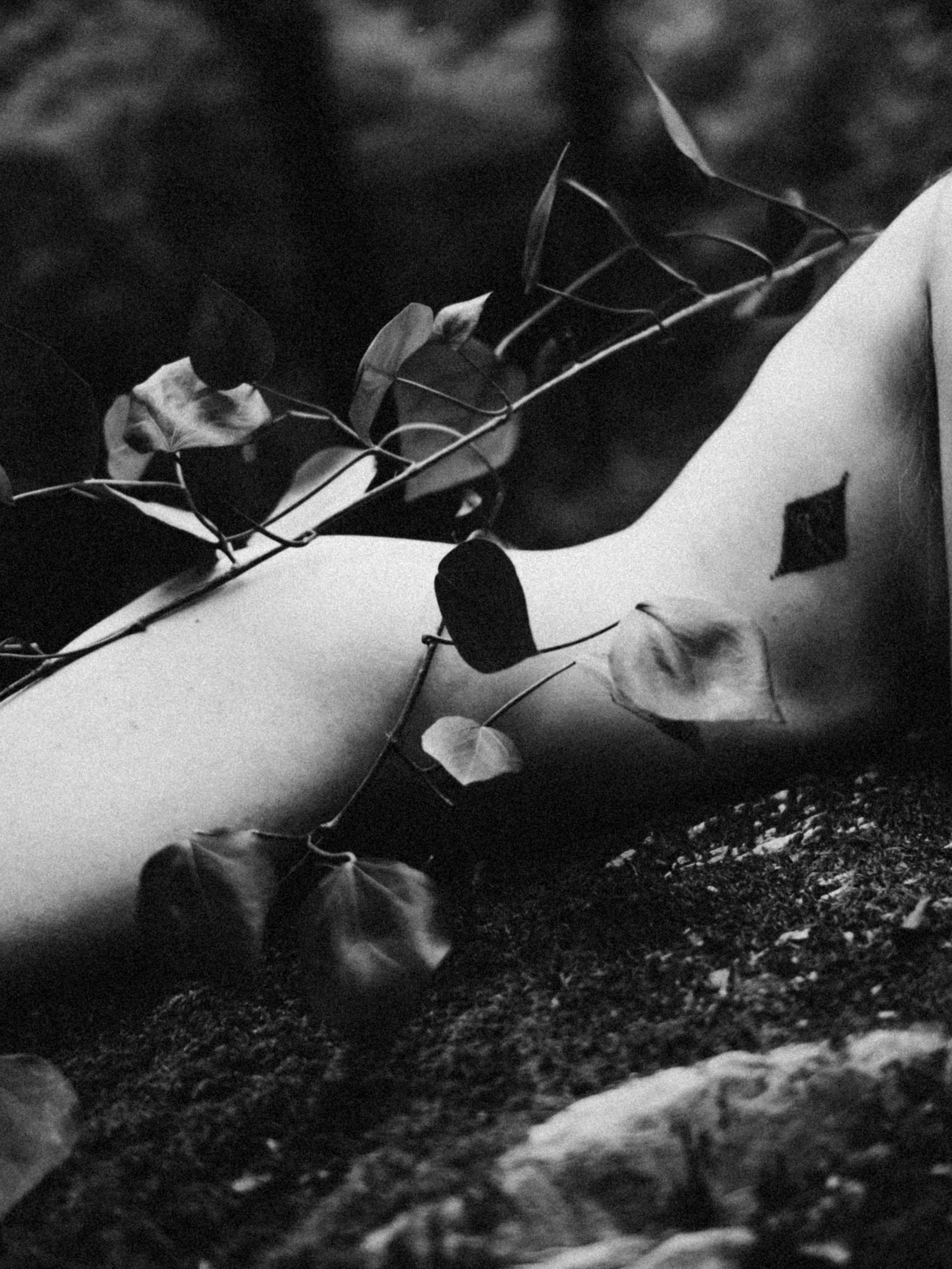 Обнаженная фотосъёмка в лесу