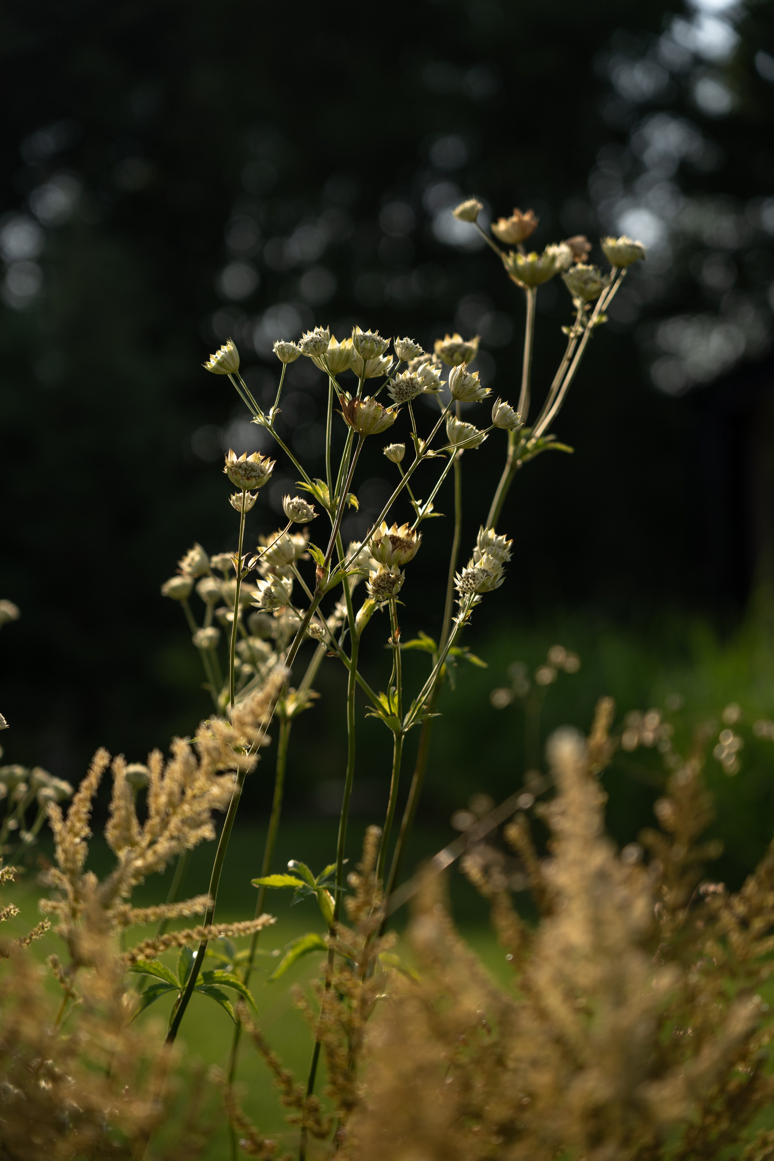 Private house, Tver region, Konakovo. Артамонов Александр | Архитектурный и ландшафтный фотограф