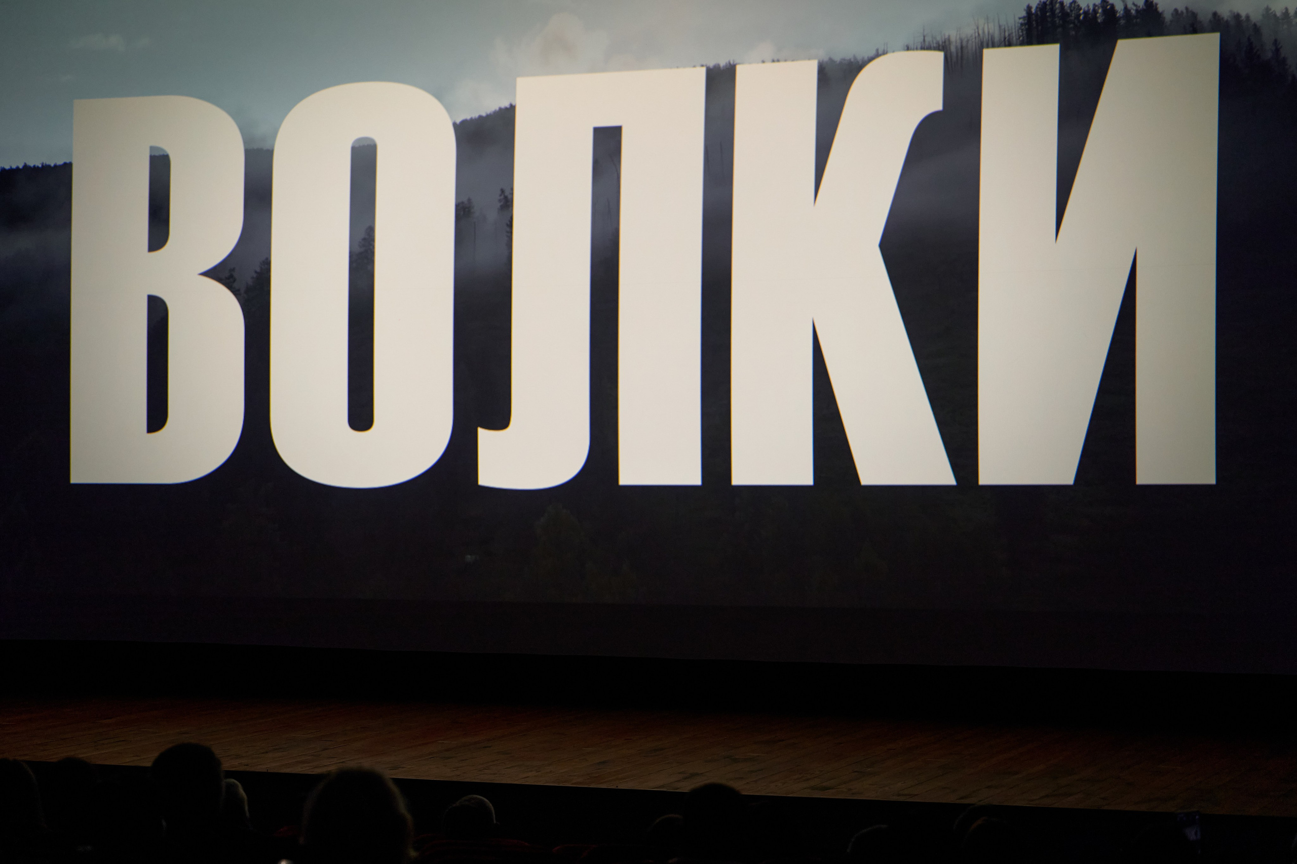 Волки — премьера. Фотограф Опыт Качество Скорость Горный Алтай Барнаул