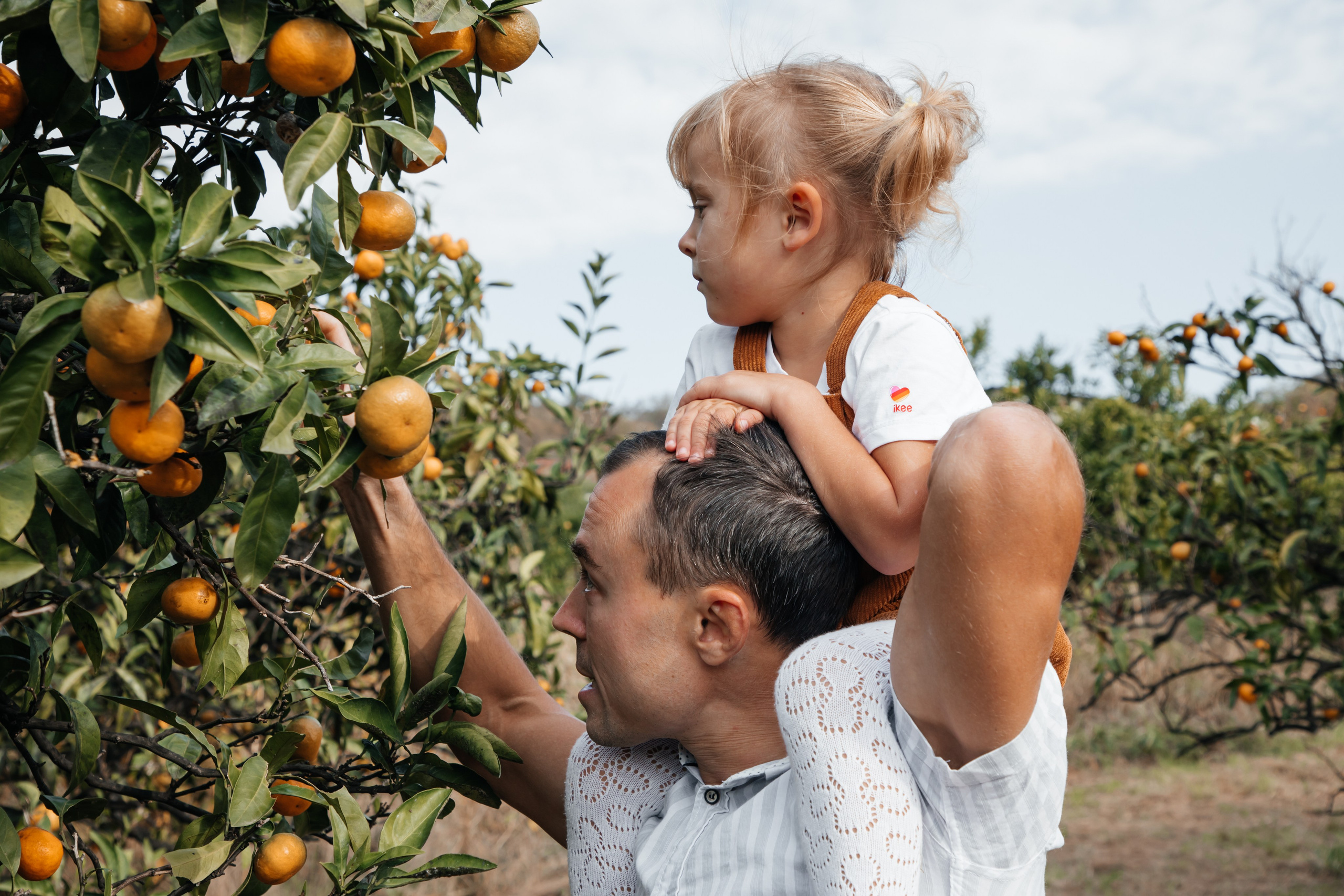 Мандариновое настроение. Фотограф Сочи, Екатеринбург, Евгения Ефимова