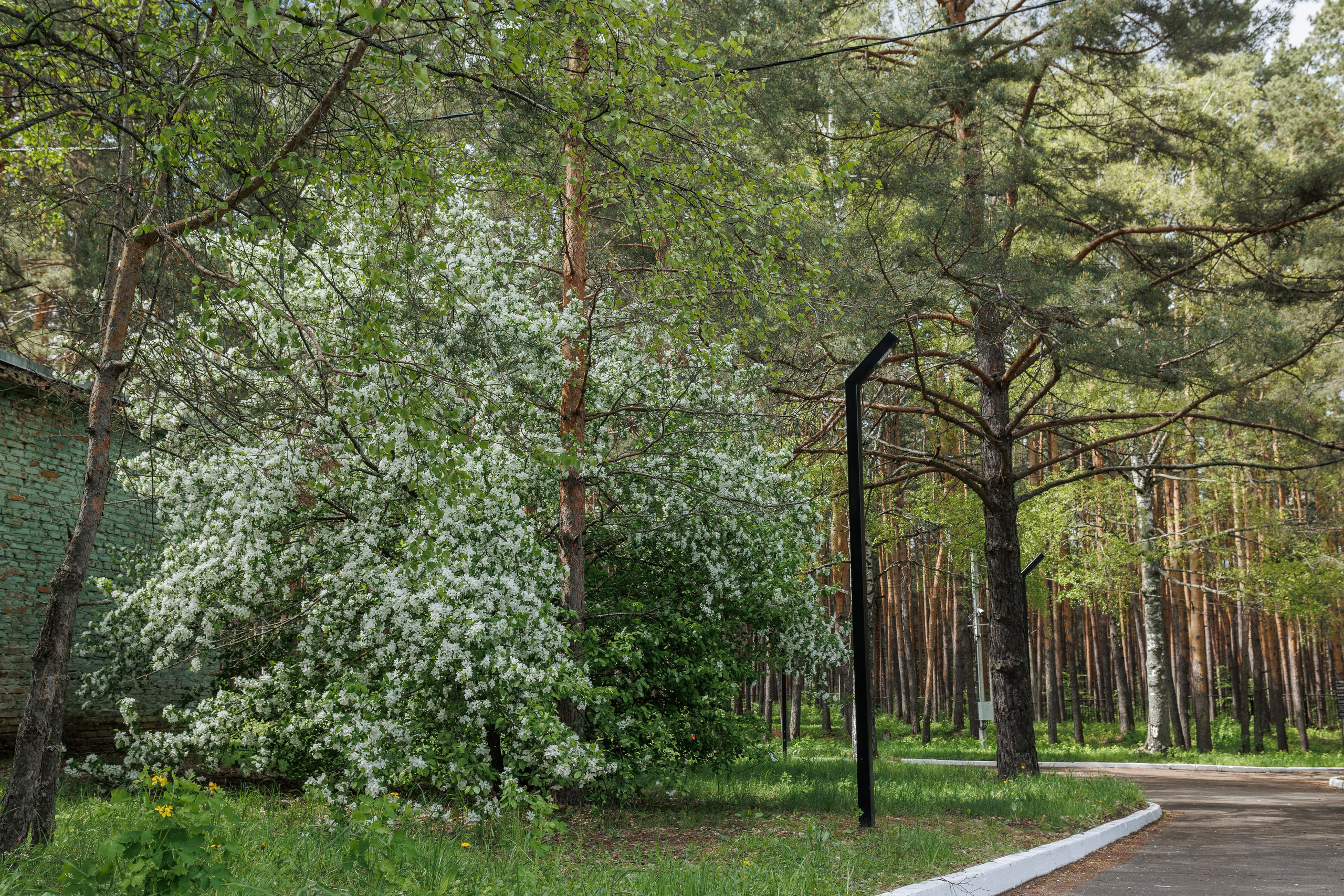 База отдыха «Металлург». Фотограф городских и семейных событий в Нижнем Новгороде Артем Карпухин