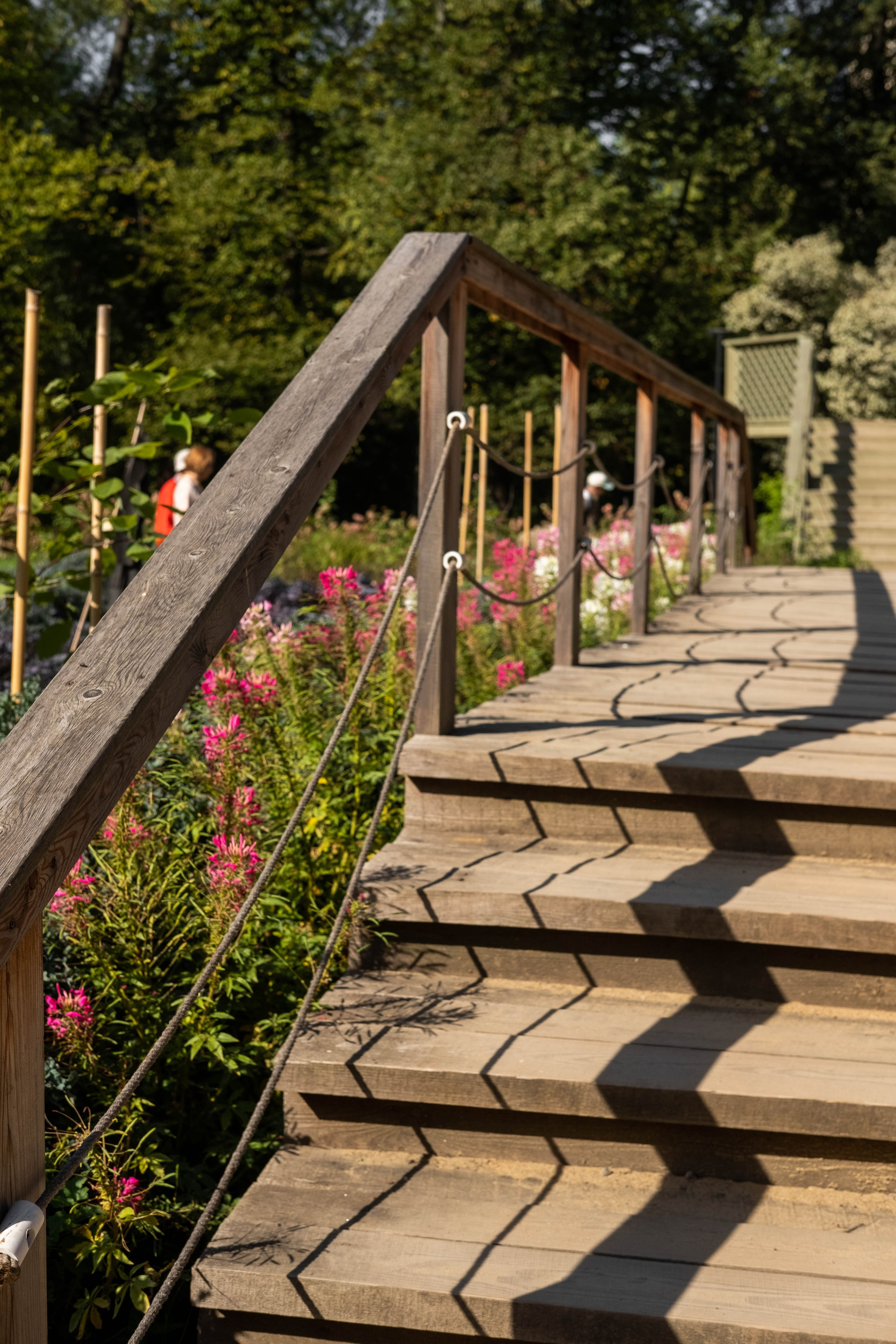 Москва 2024. Свадебный и семейный фотограф в Новосибирске, Санкт-Петербурге, Москве