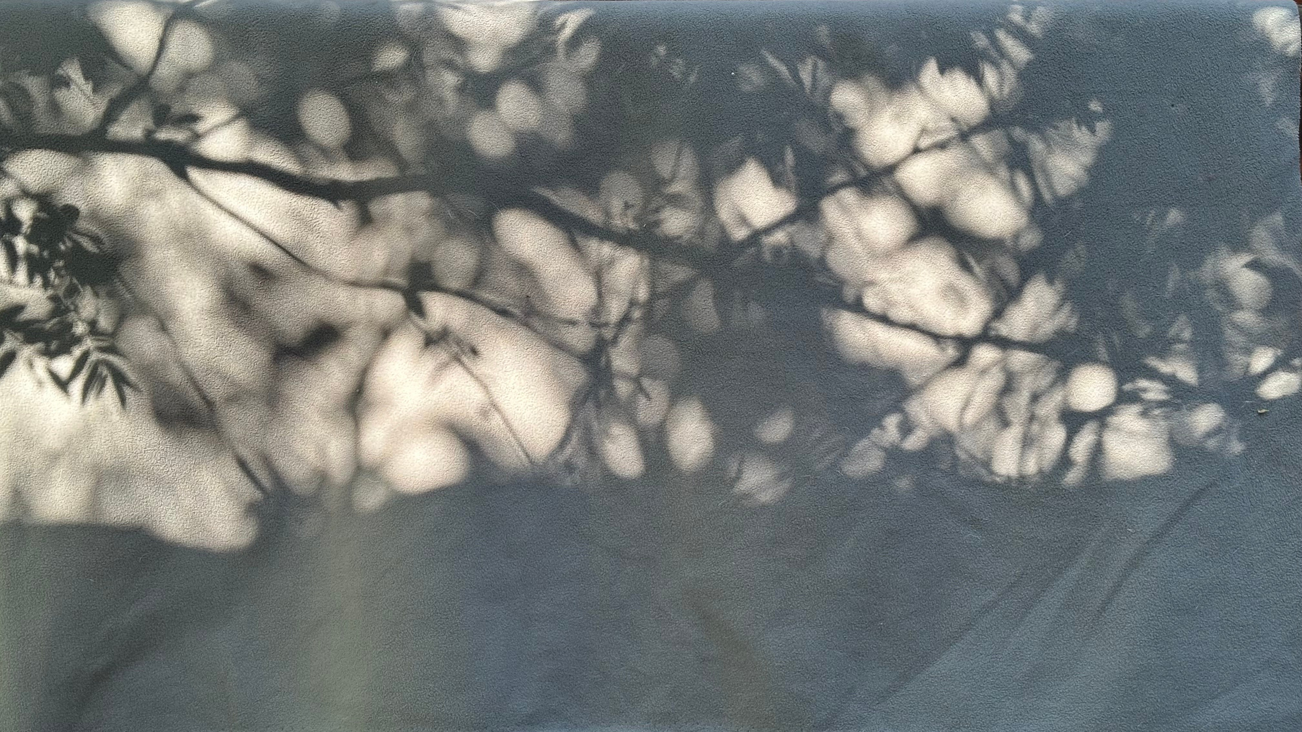 2024. Тащилин Сергей. Фотографии. Жизнь. Хобби