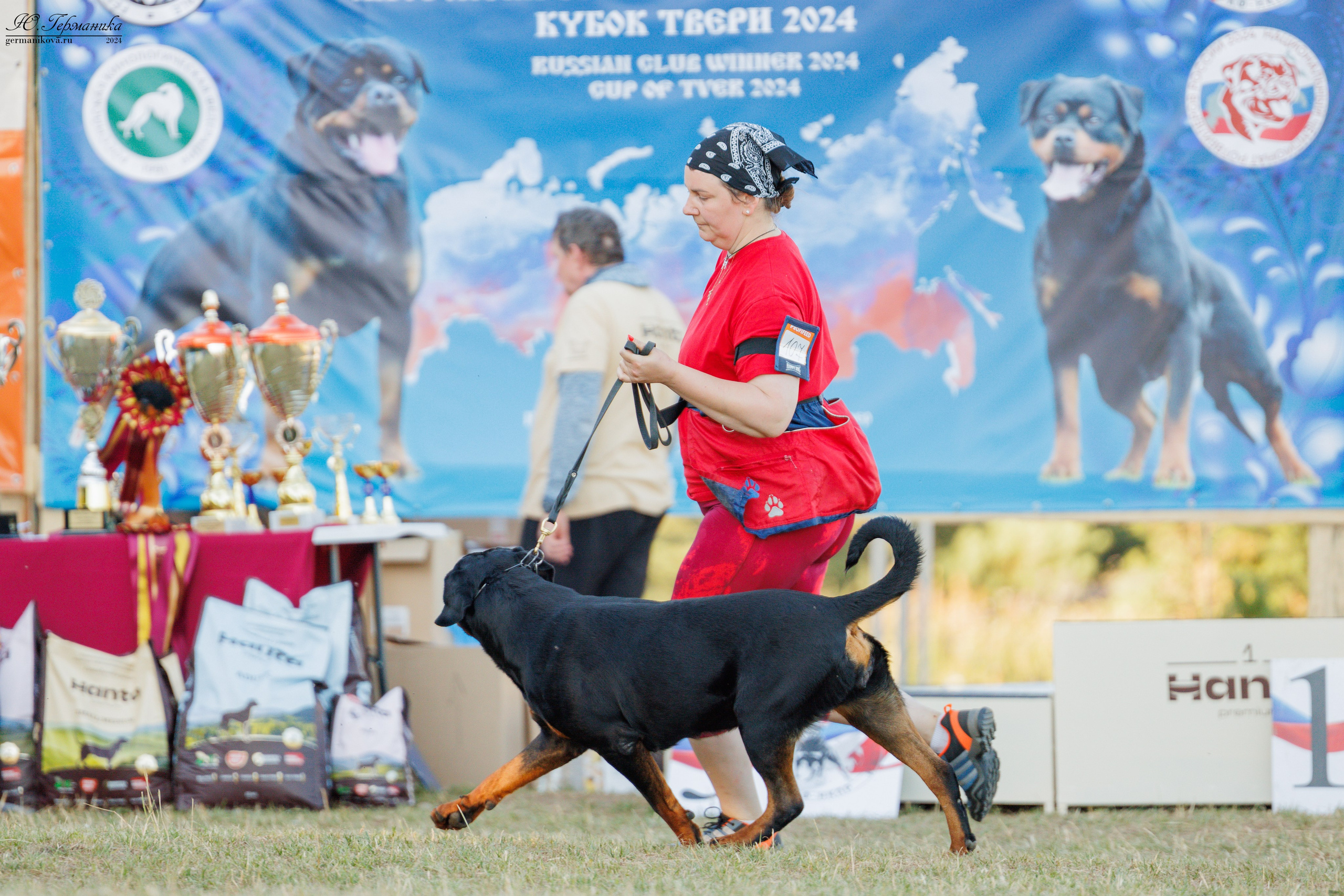 ПК и КЧК ротвейлеры Тверь 6-7.07.2024. Фотограф-анималист Юлия Германика