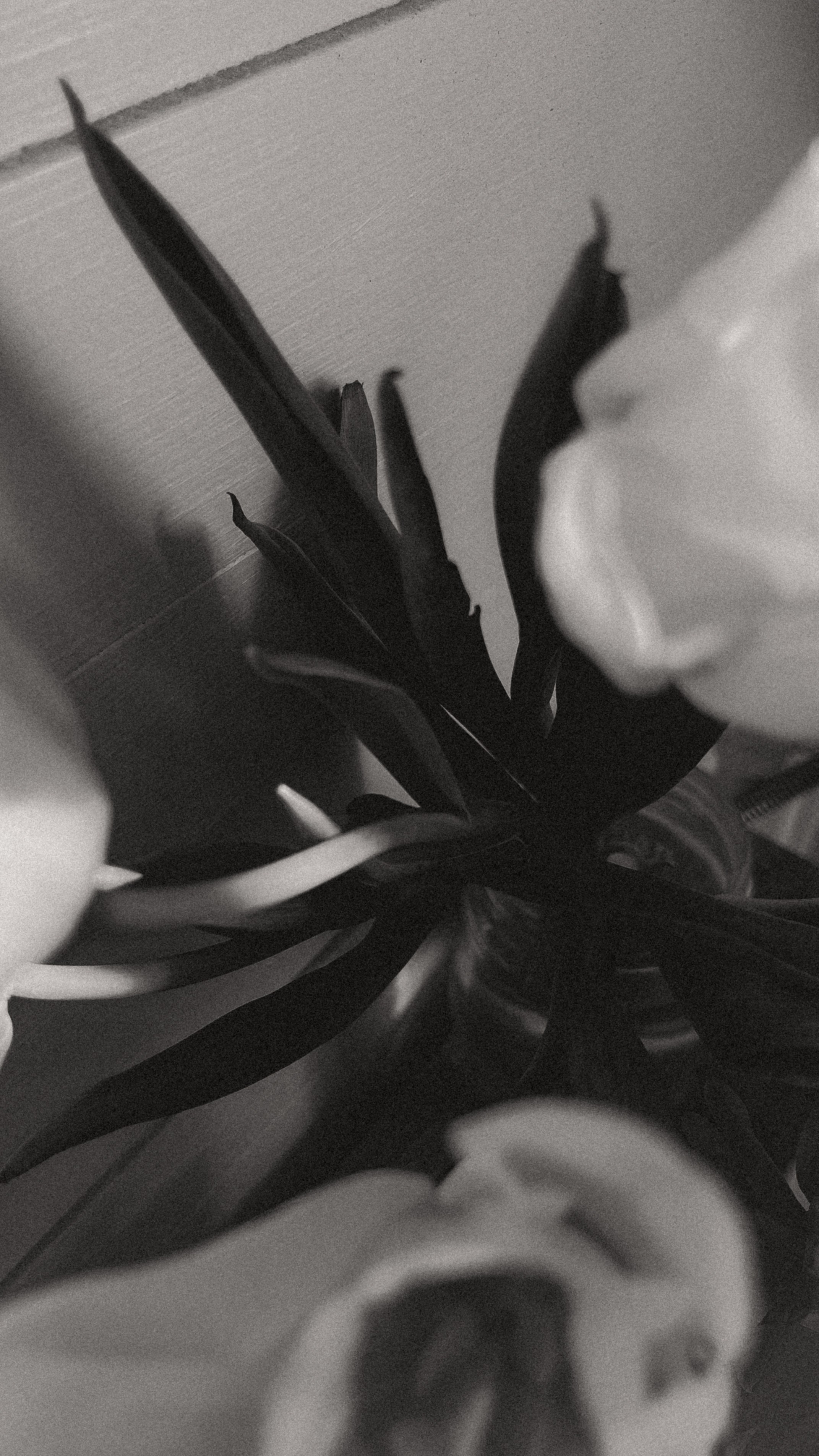 МОИМИ ГЛАЗАМИ. Nuga_visual