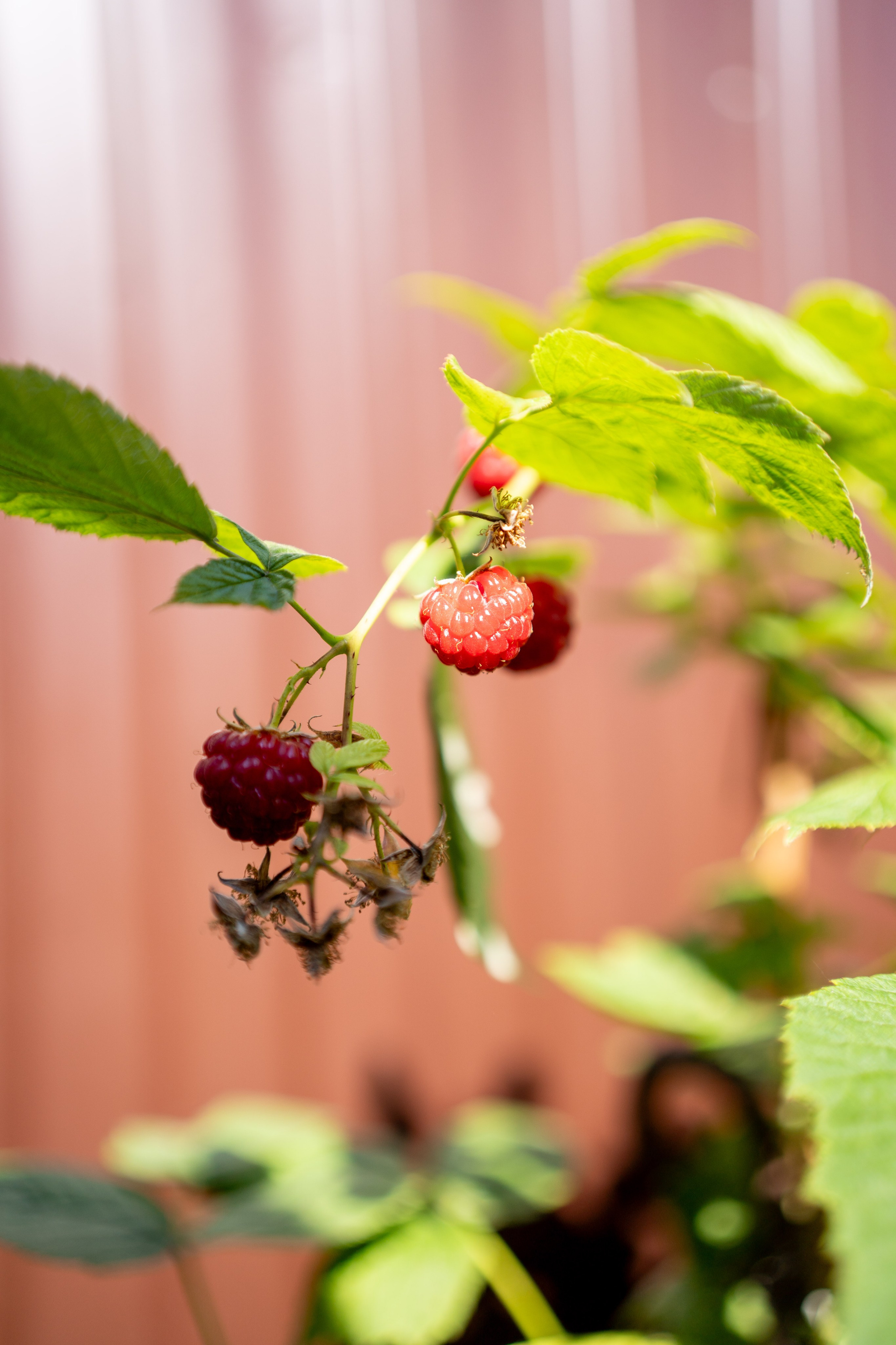 Съемка для патронажной службы. Фотограф и маркетолог Андрей Юрилин Саратов и Энгельс