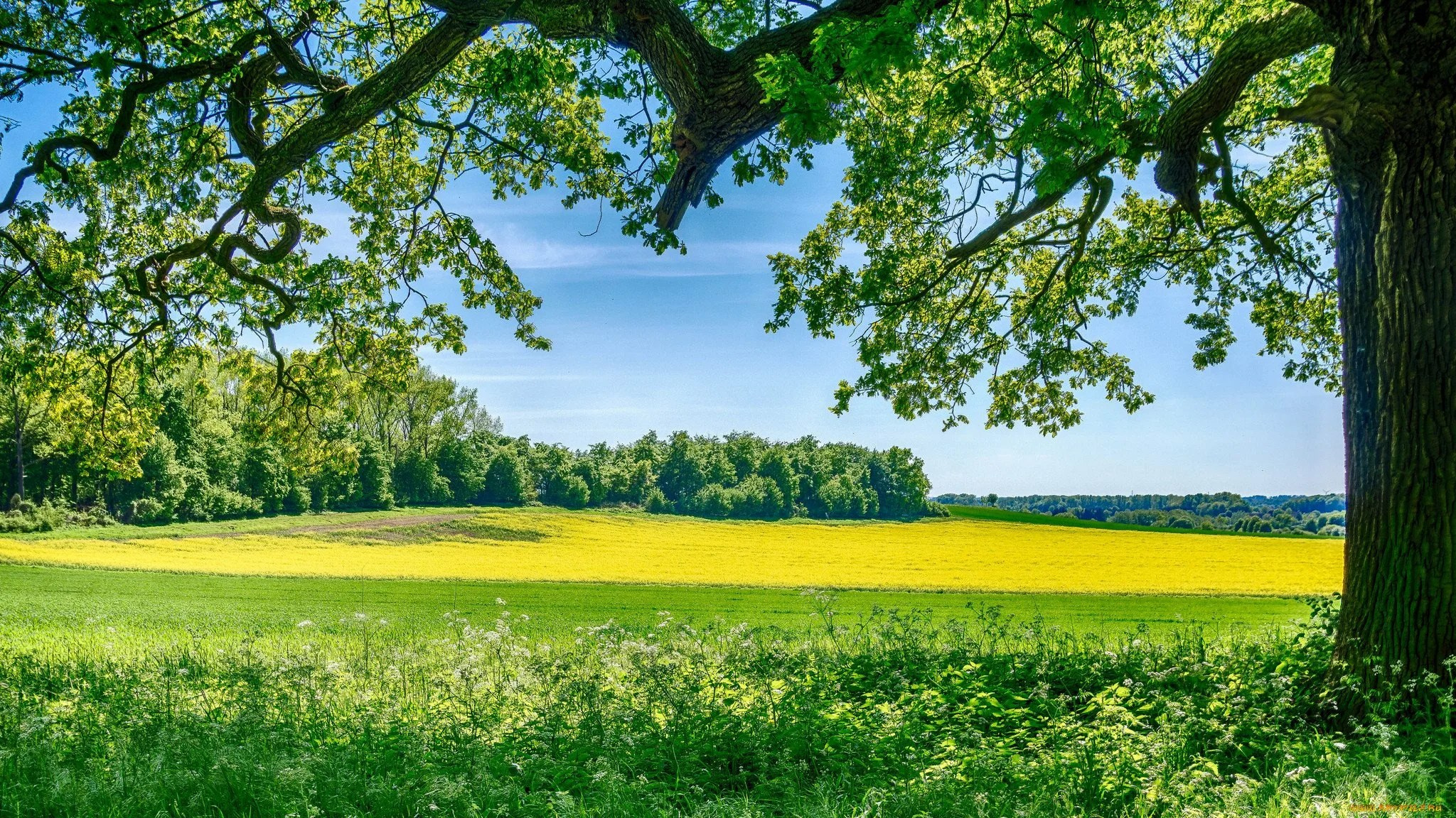 Рекомендации по образам на фотосессию от Анны Скворцовой. Фотограф в Санкт-Петербурге, Анна Скворцова