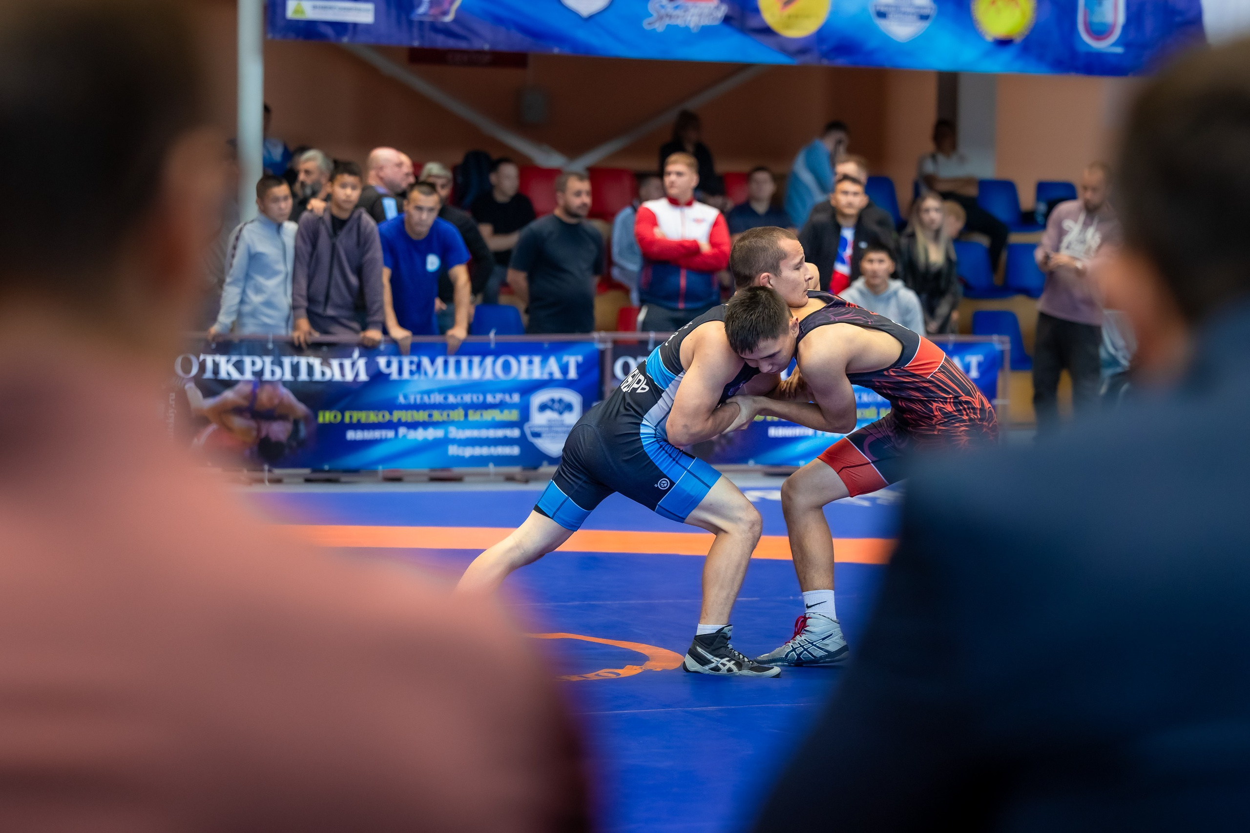 IX чемпионат Алтайского края по греко-римской борьбе. Репортажный фотограф в Барнауле Владимир Игнатов