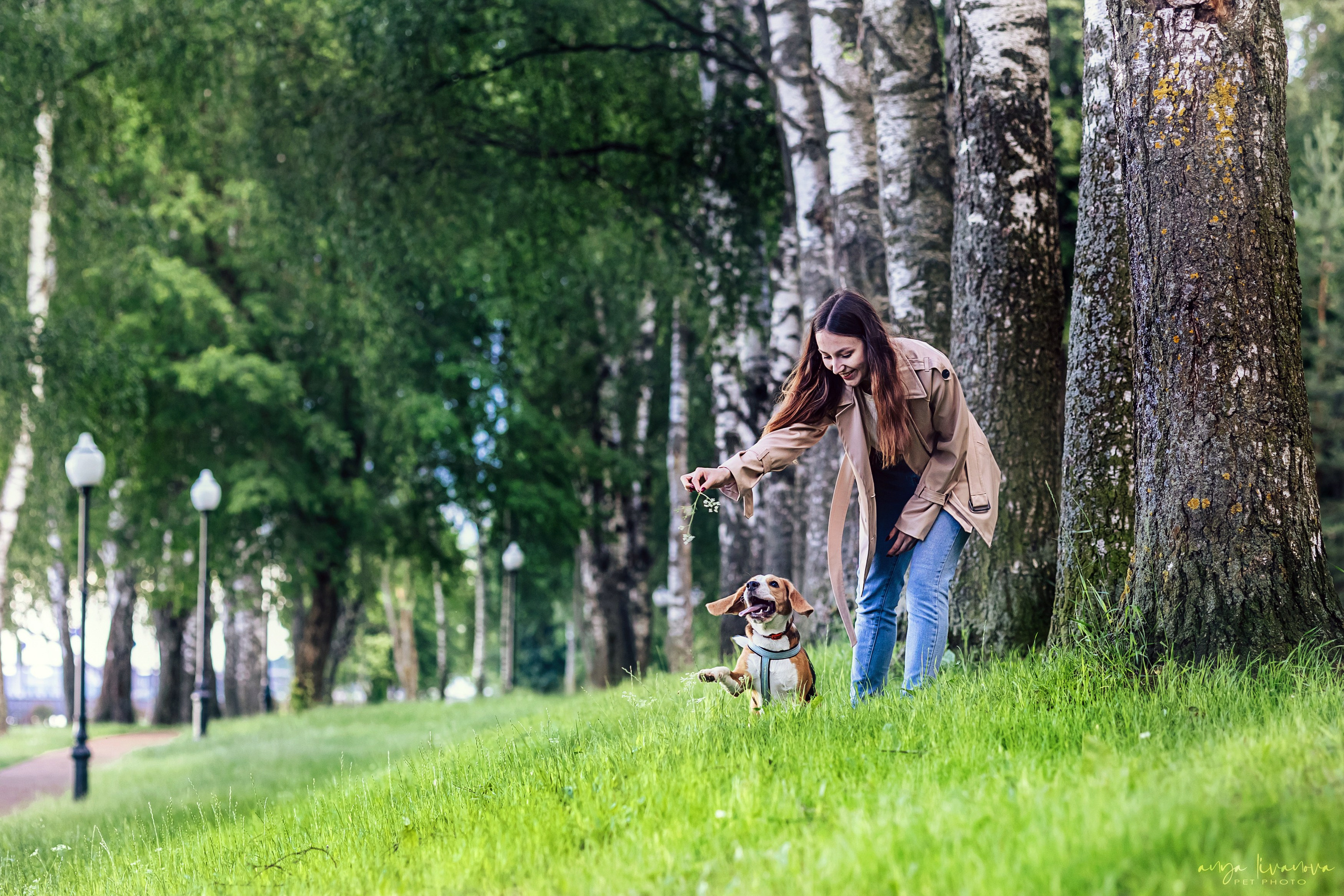 Диана и Дафна. Фотограф анималист Аня Ливанова | Рыбинск