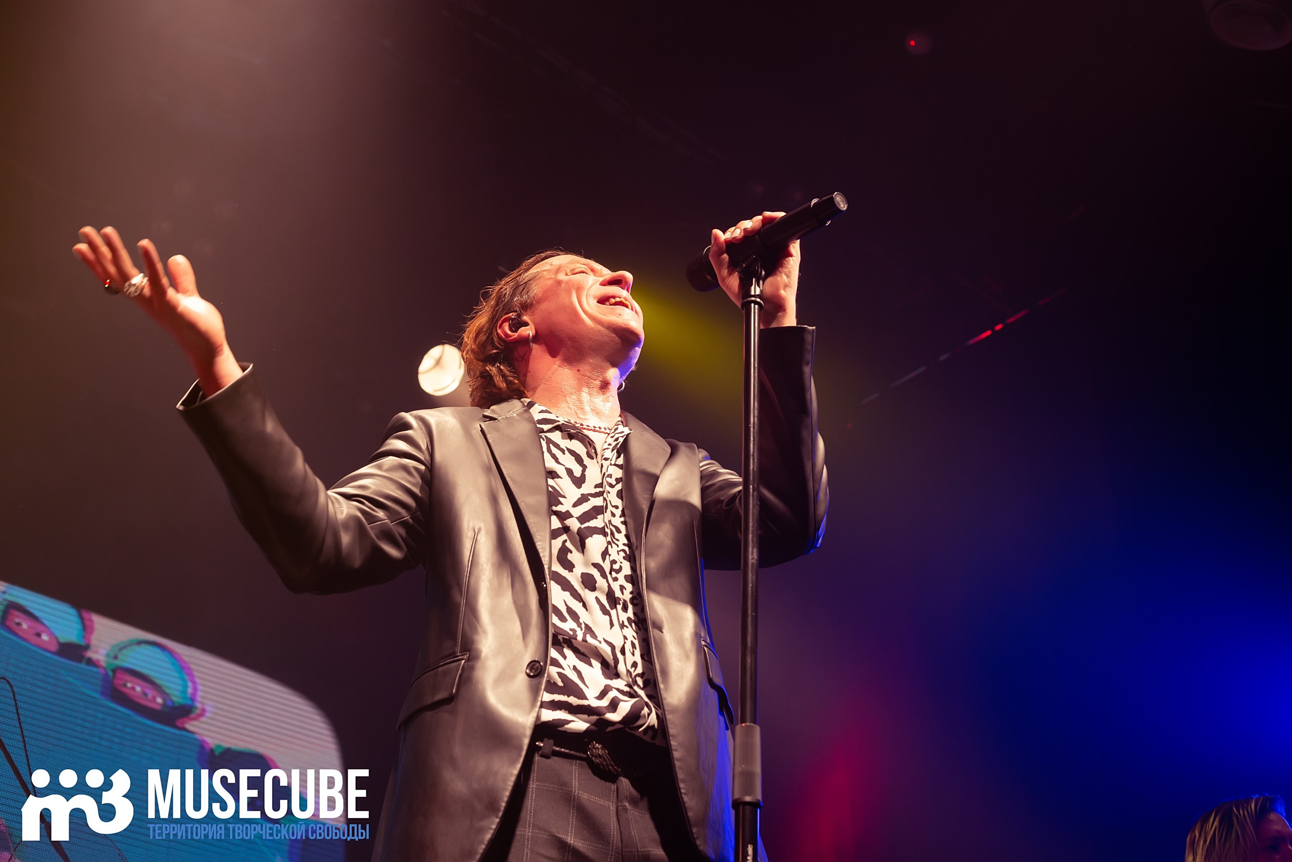 Фотосъемка концерта Найк Борзов Космонавт СПБ. Портретные фотосессии, контент-съемки, репортаж