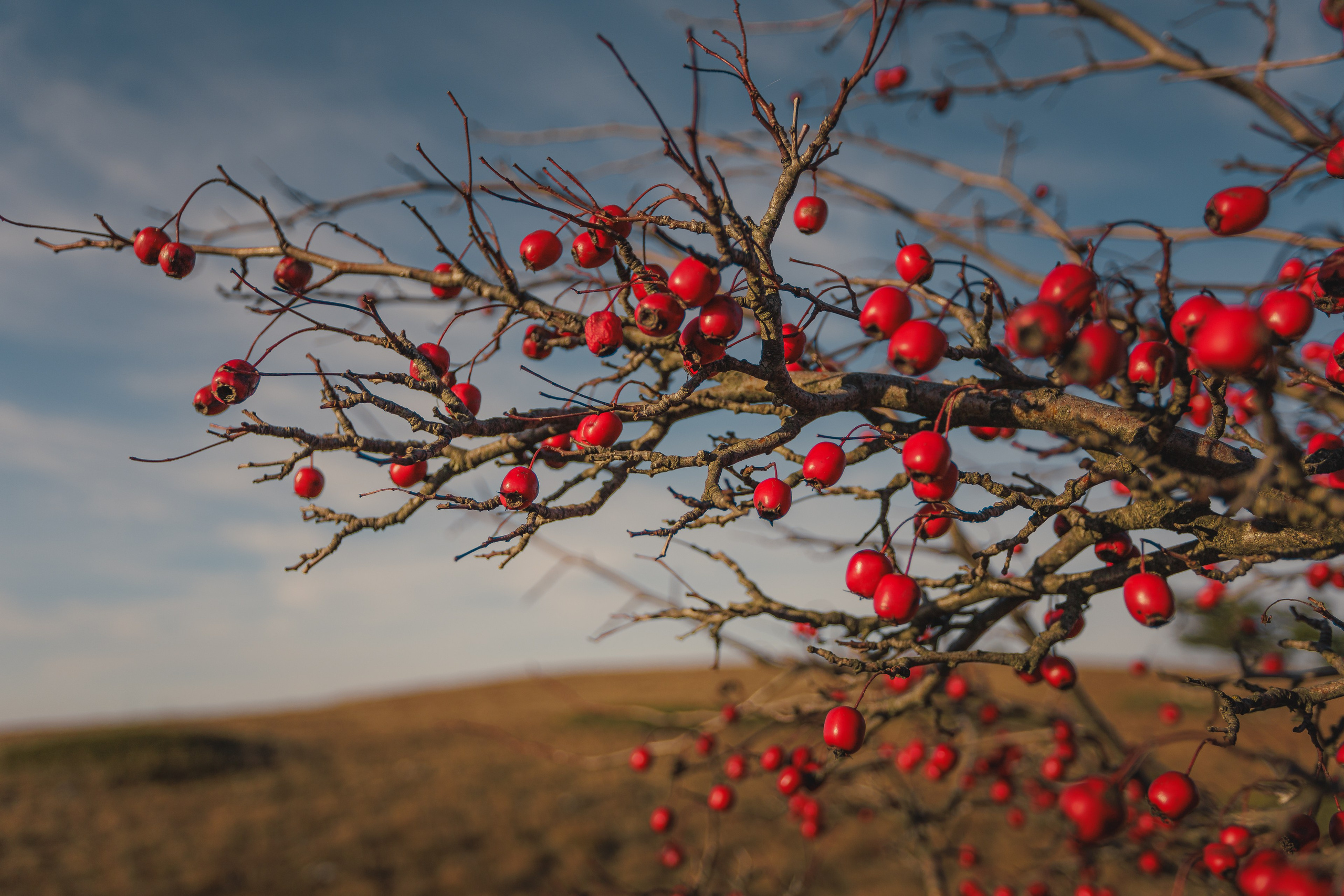 Пейзажная фотография. Фотошкола ArtFotoLife для начинающих и продвинутых фотографов
