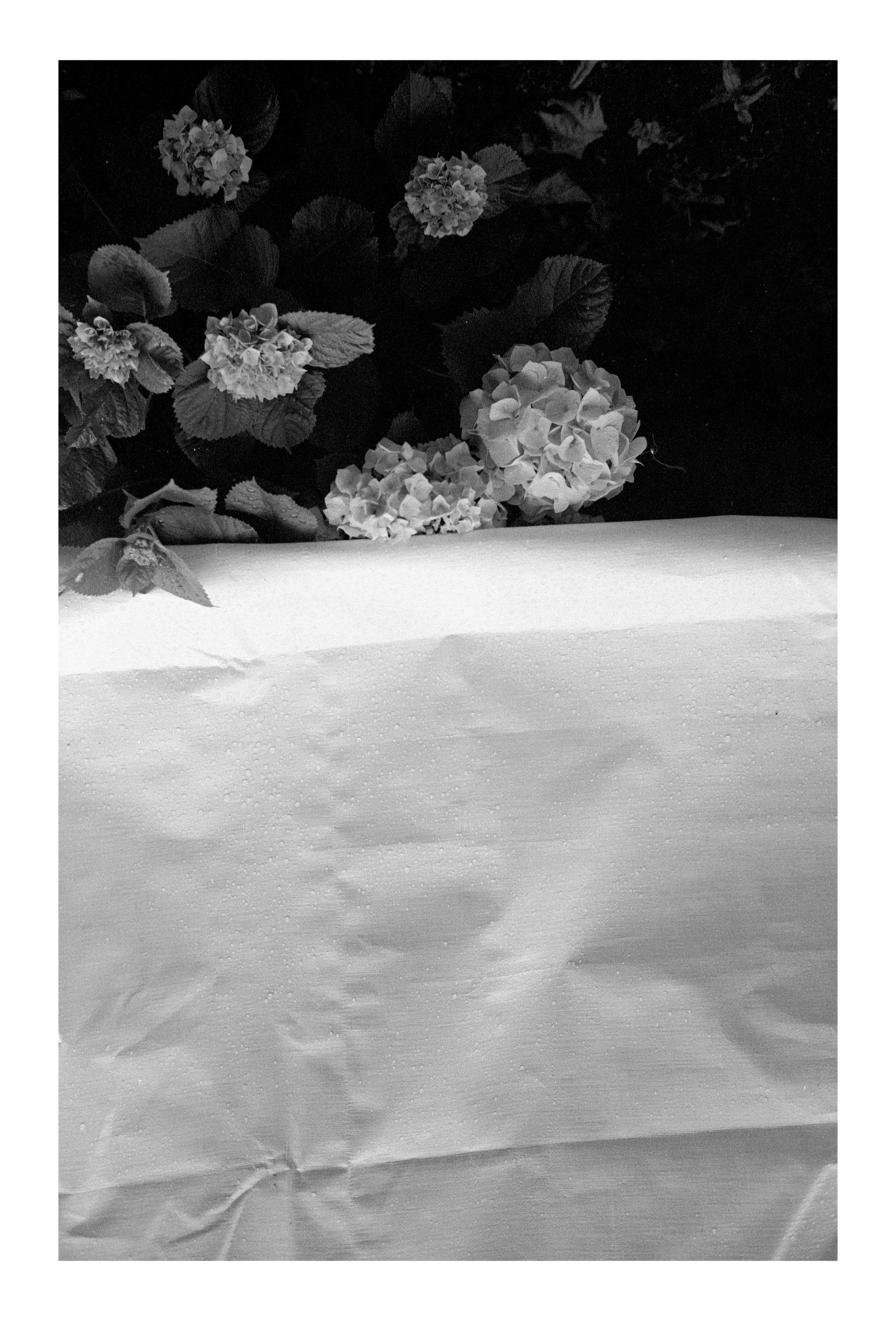 Porto 2023. Dima Voronetsky