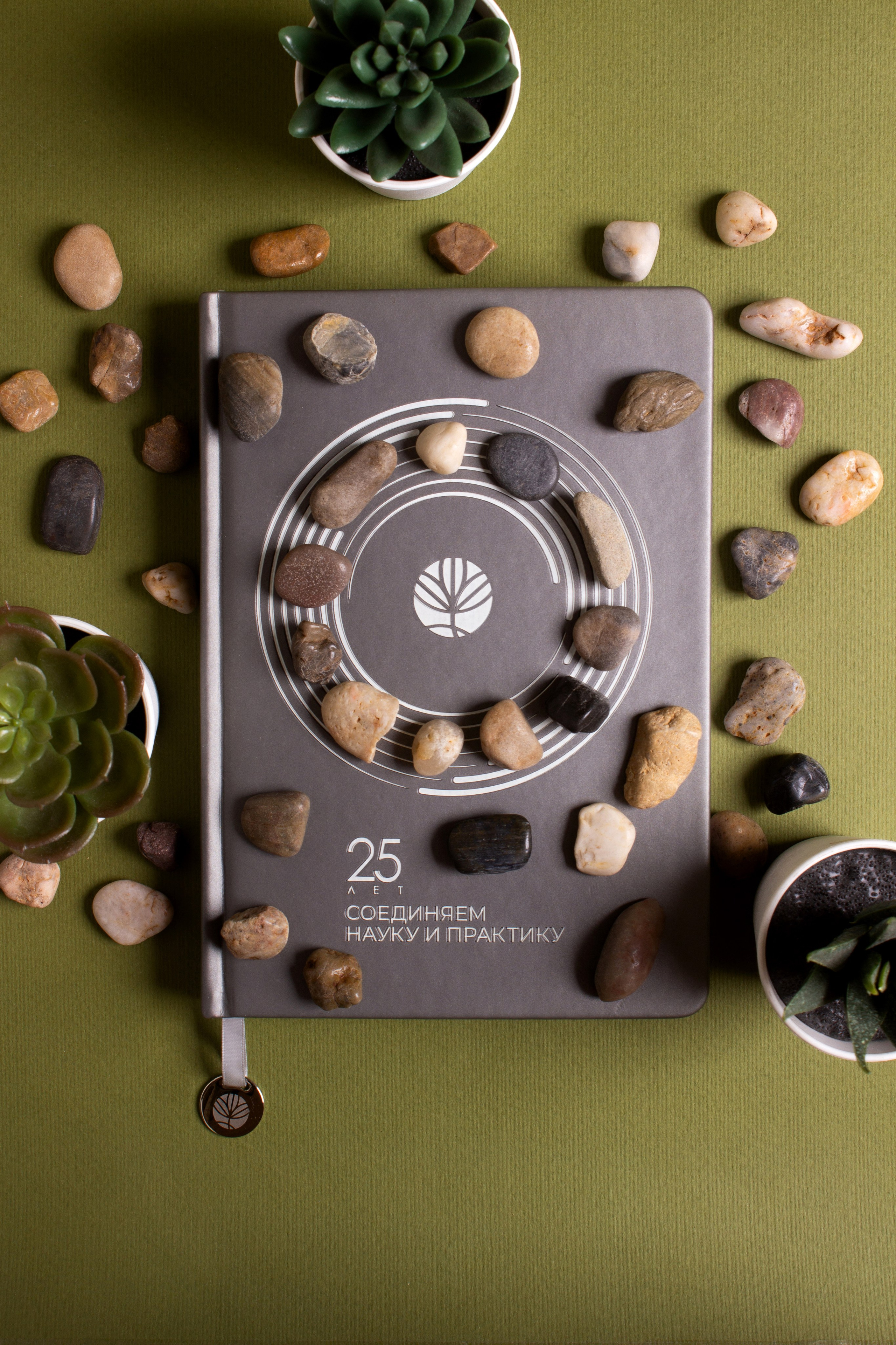 Щелково. Фуд-фотограф в Москве | Профессиональная съемка блюд и еды | Горбачёв Виталий