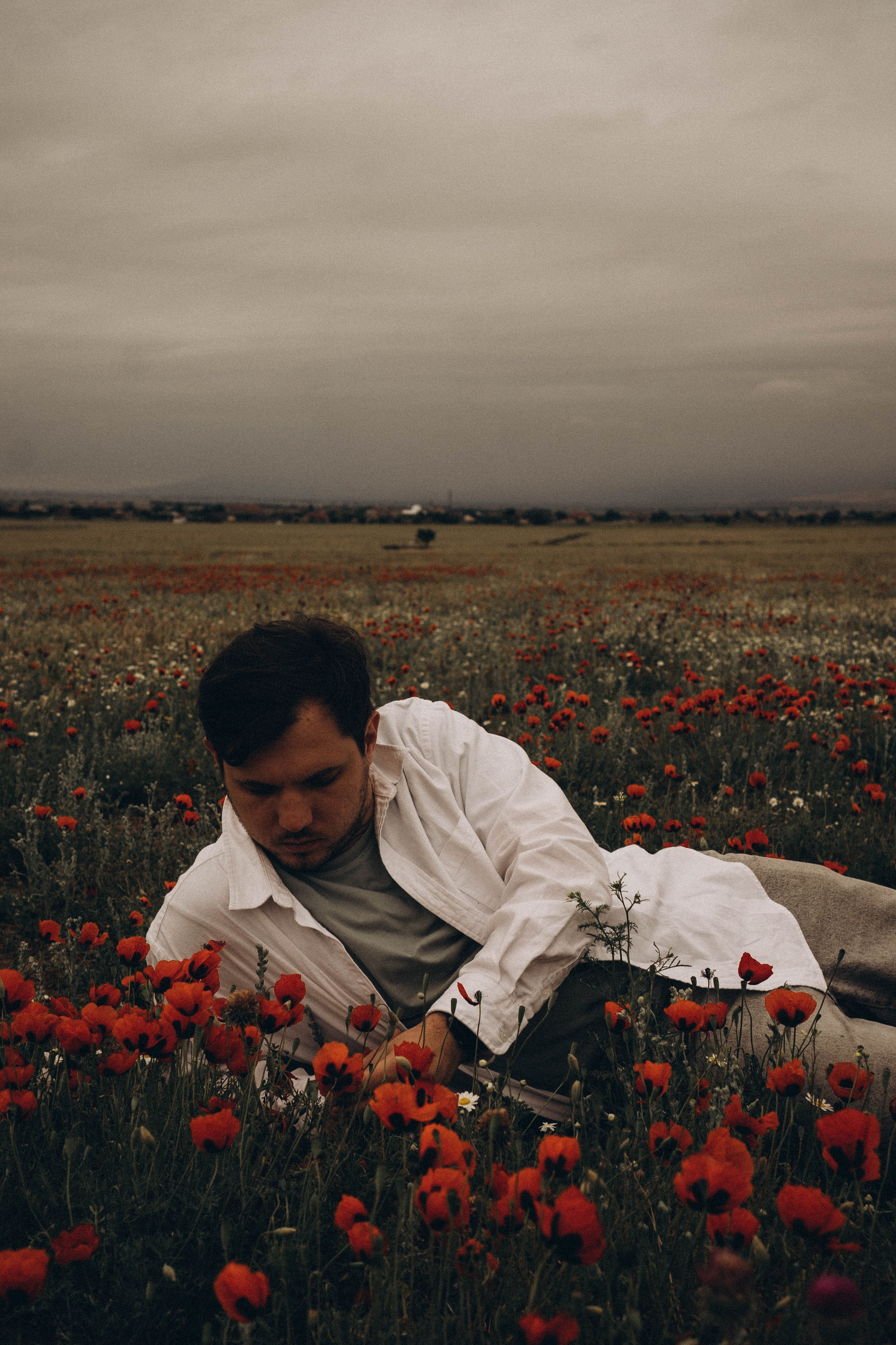 Маки. Профессиональный фотограф, Санкт-Петербург — Виктория Богомолова