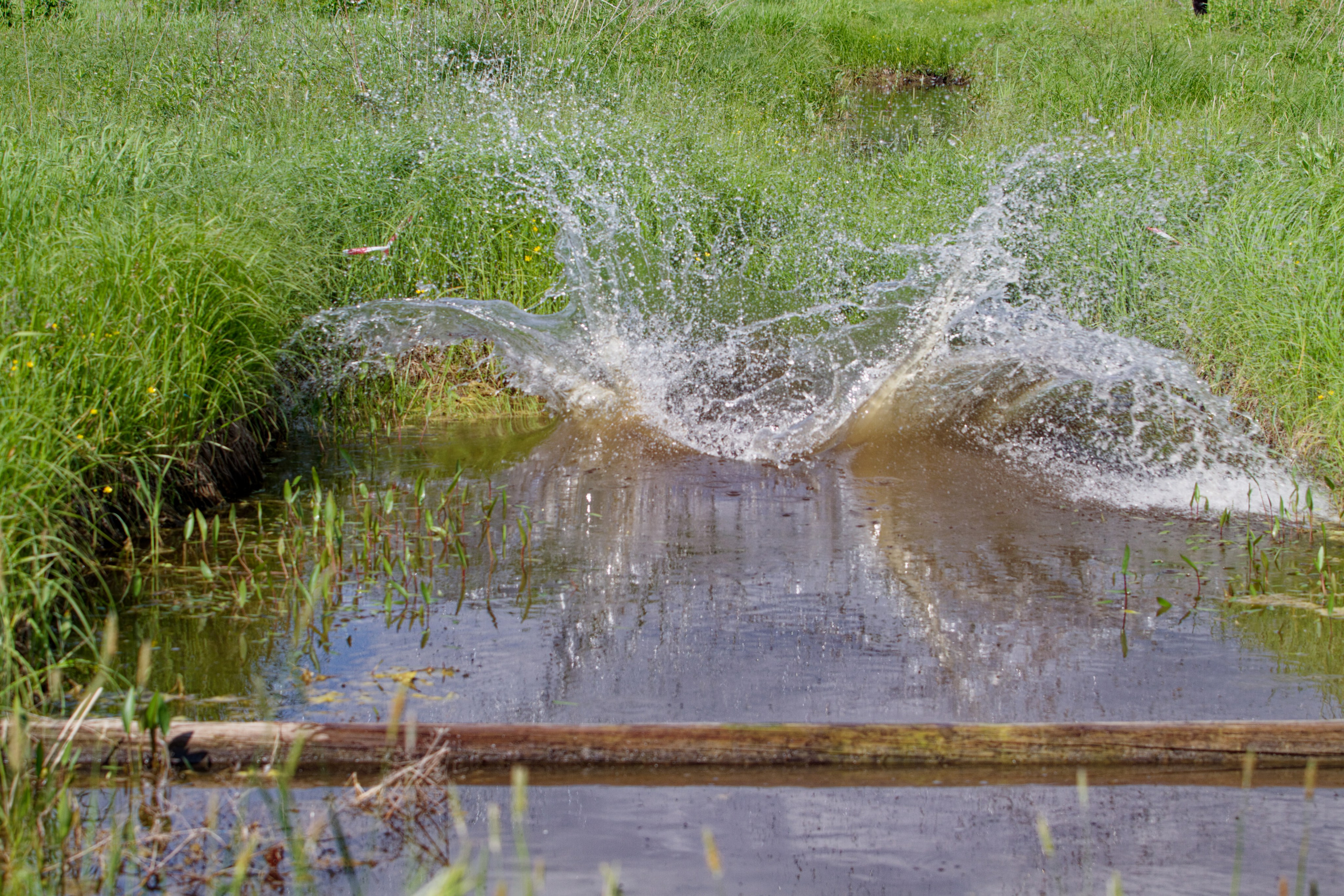 Родео59. Репортажный и спортивный фотограф в г. Пермь Зильберг Павел
