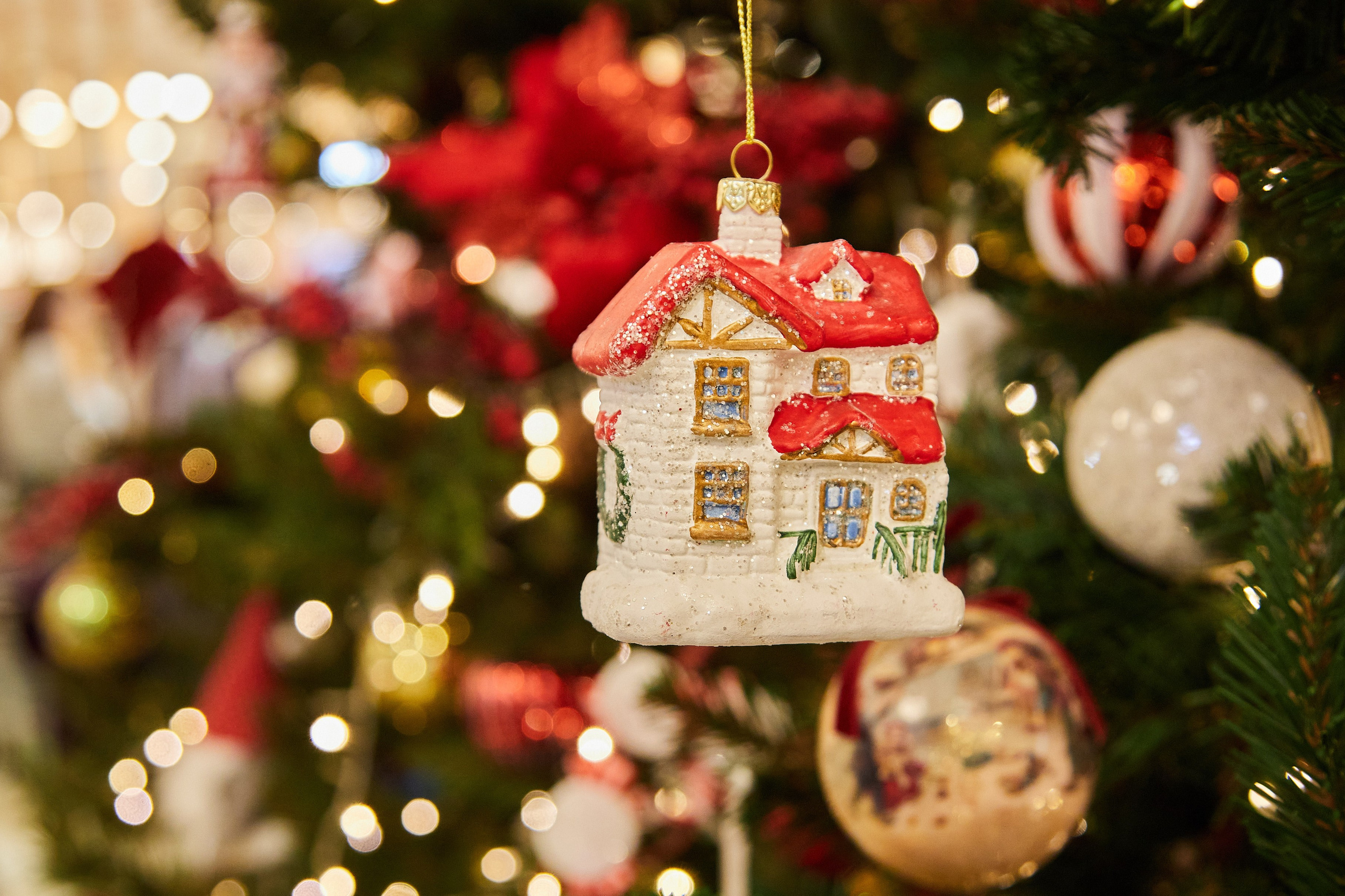 Новый год с Паллаццо