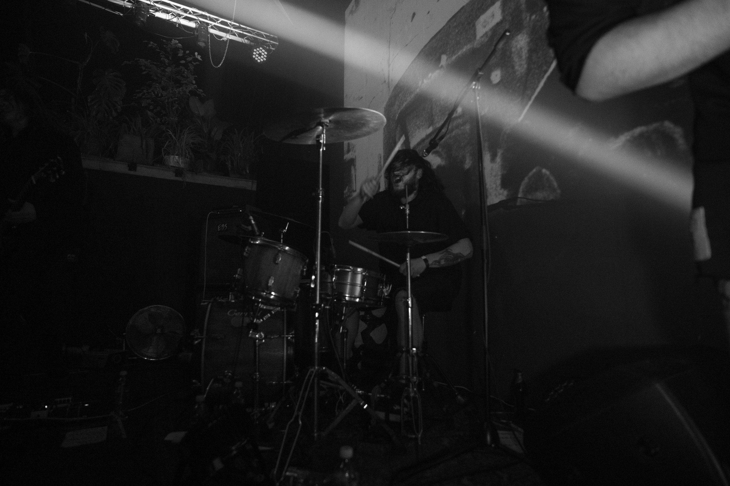 Шторм|Ласточка. Концертный и репортажный фотограф в Санкт-Петербурге Слава Пахомов