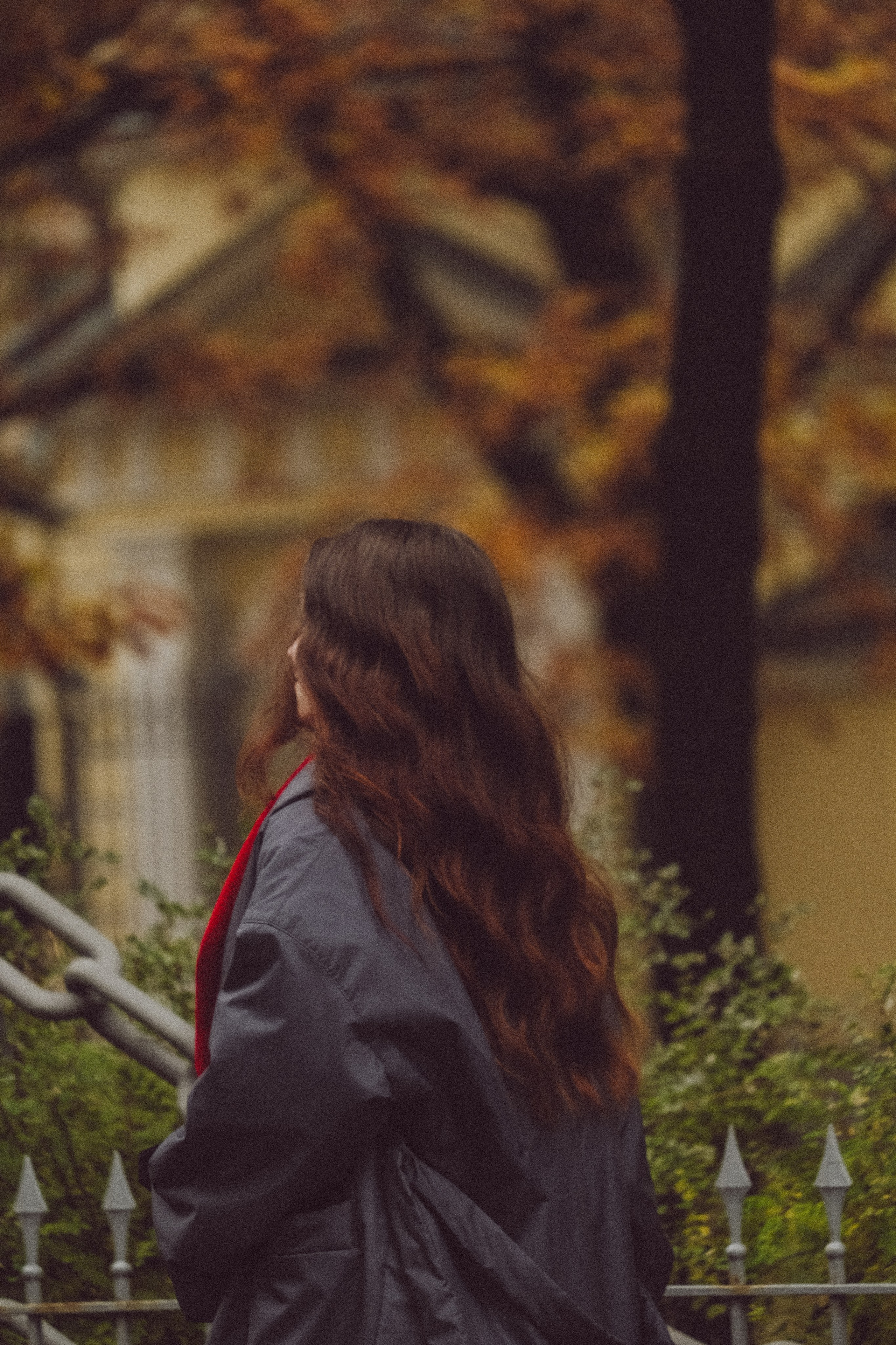 Осень. Профессиональный фотограф, Санкт-Петербург — Виктория Богомолова