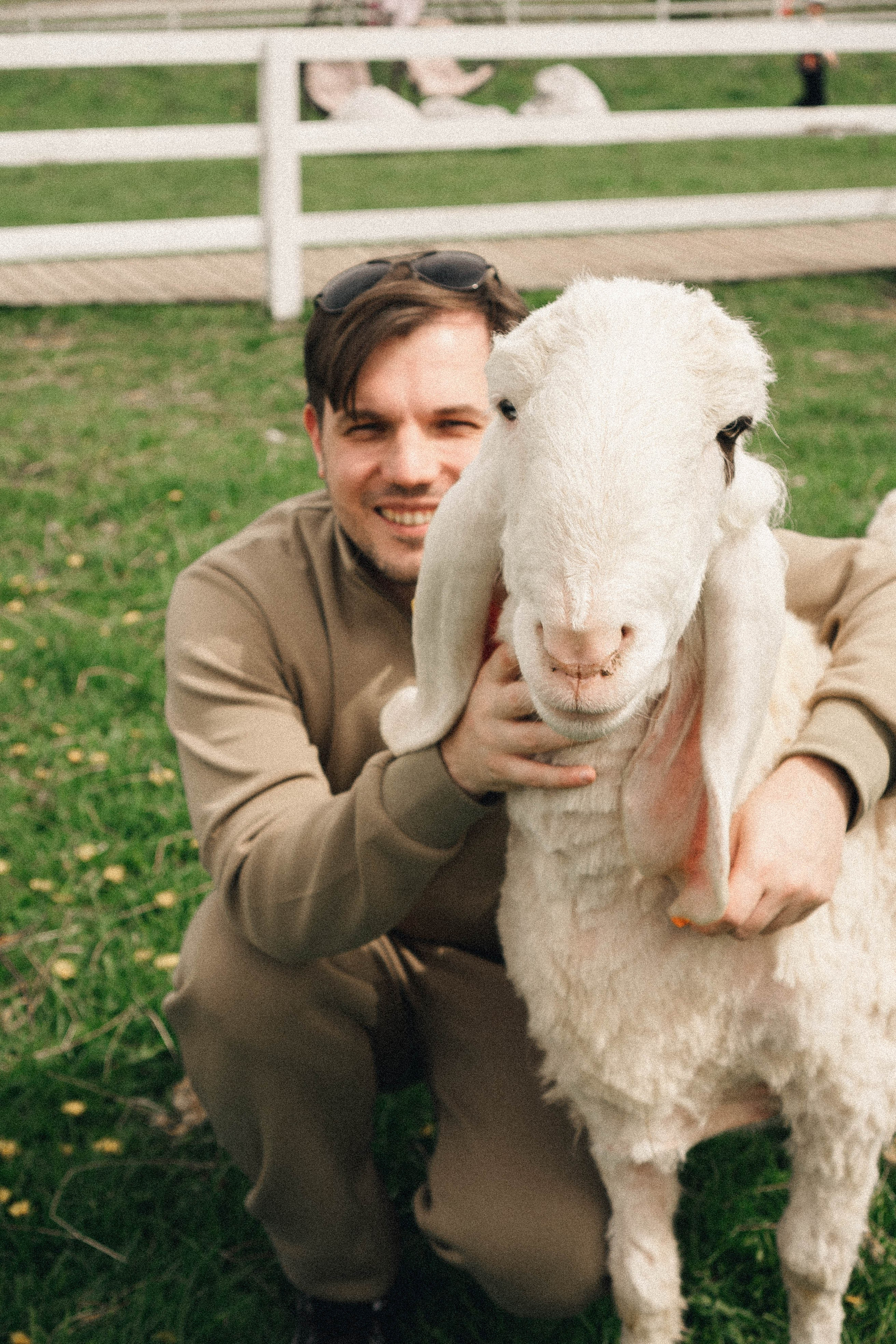 Ферма Альпак. Профессиональный фотограф, Санкт-Петербург — Виктория Богомолова