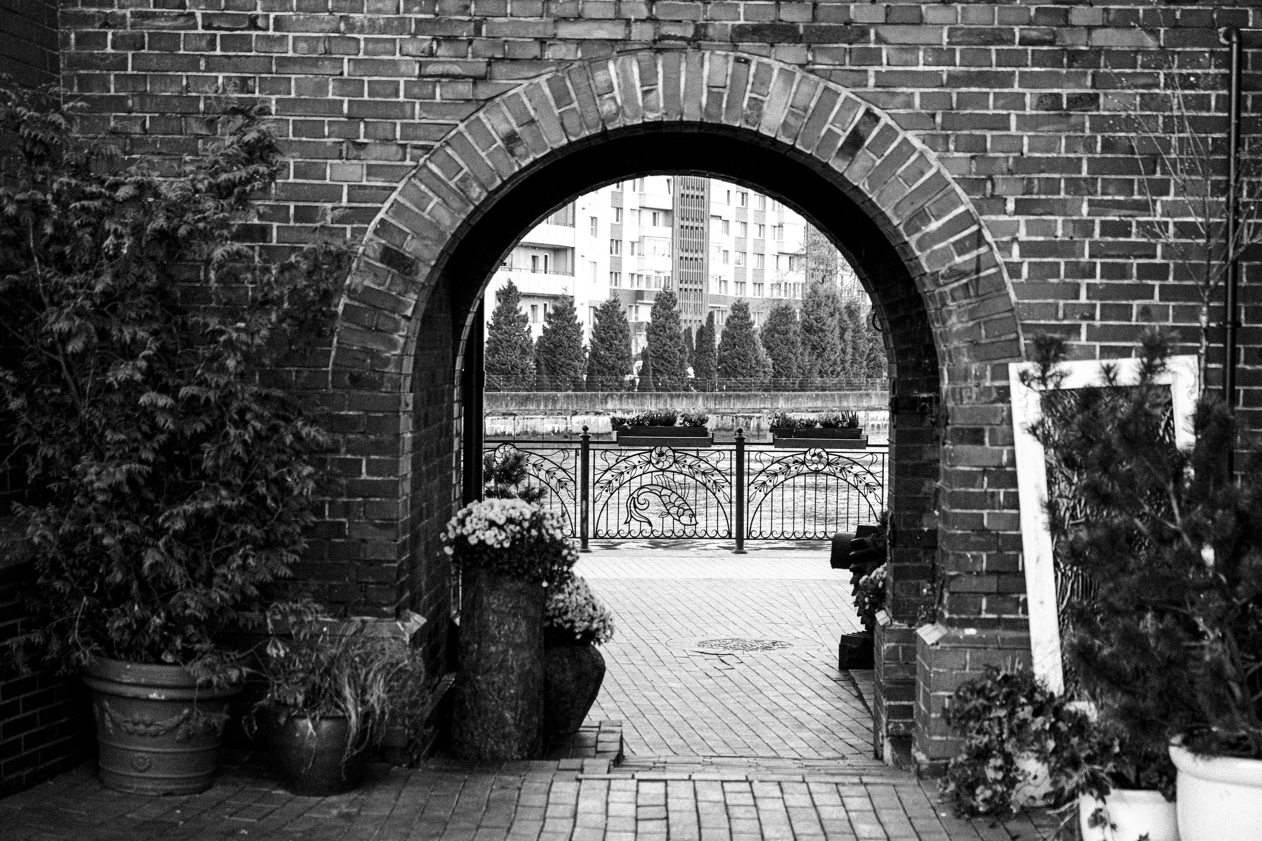 Калининград 2025. Легкая фотография