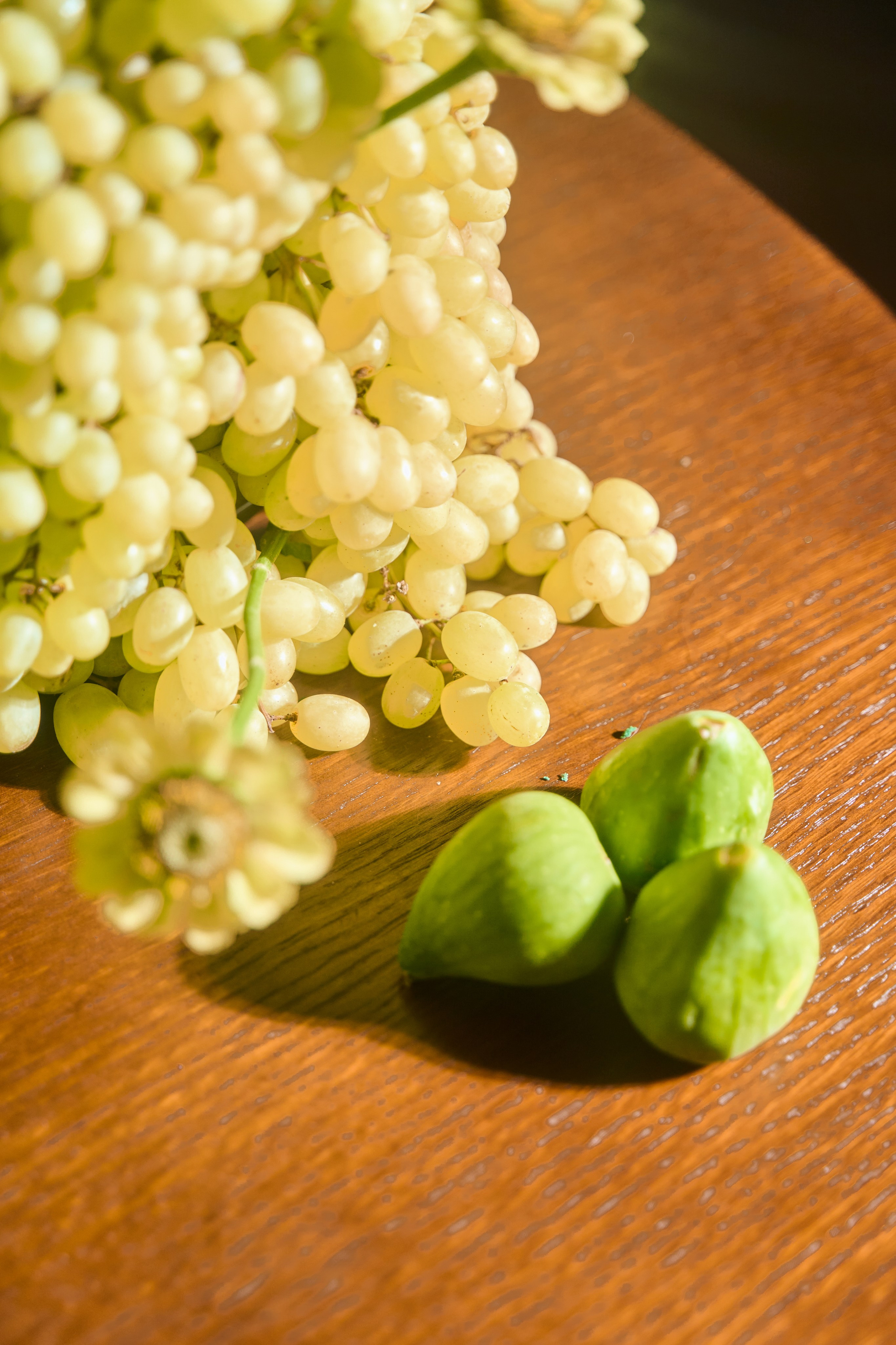 Михаил и Софья. Главная