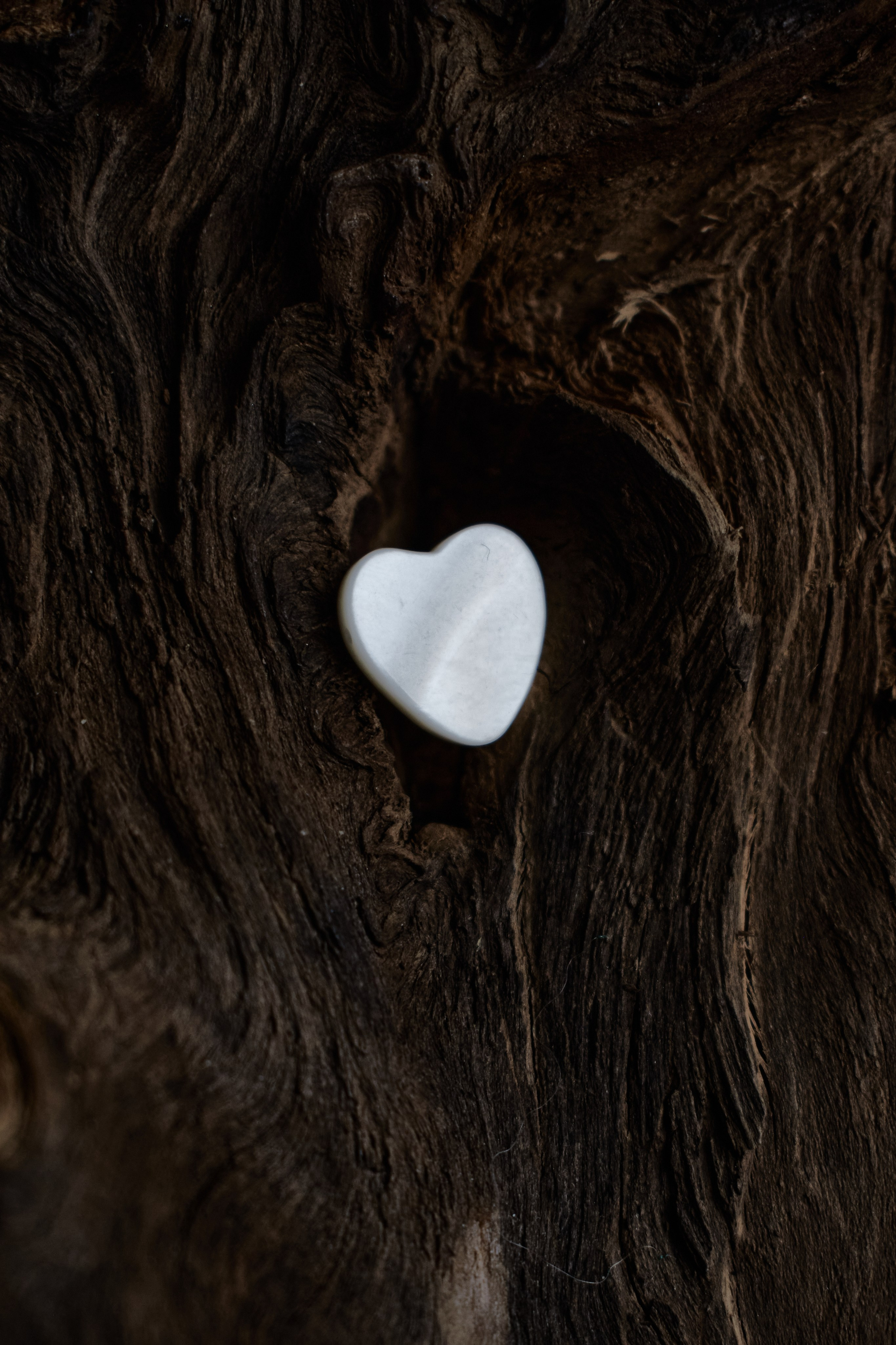 Украшения. Фотограф в Спб Арина Чеглакова