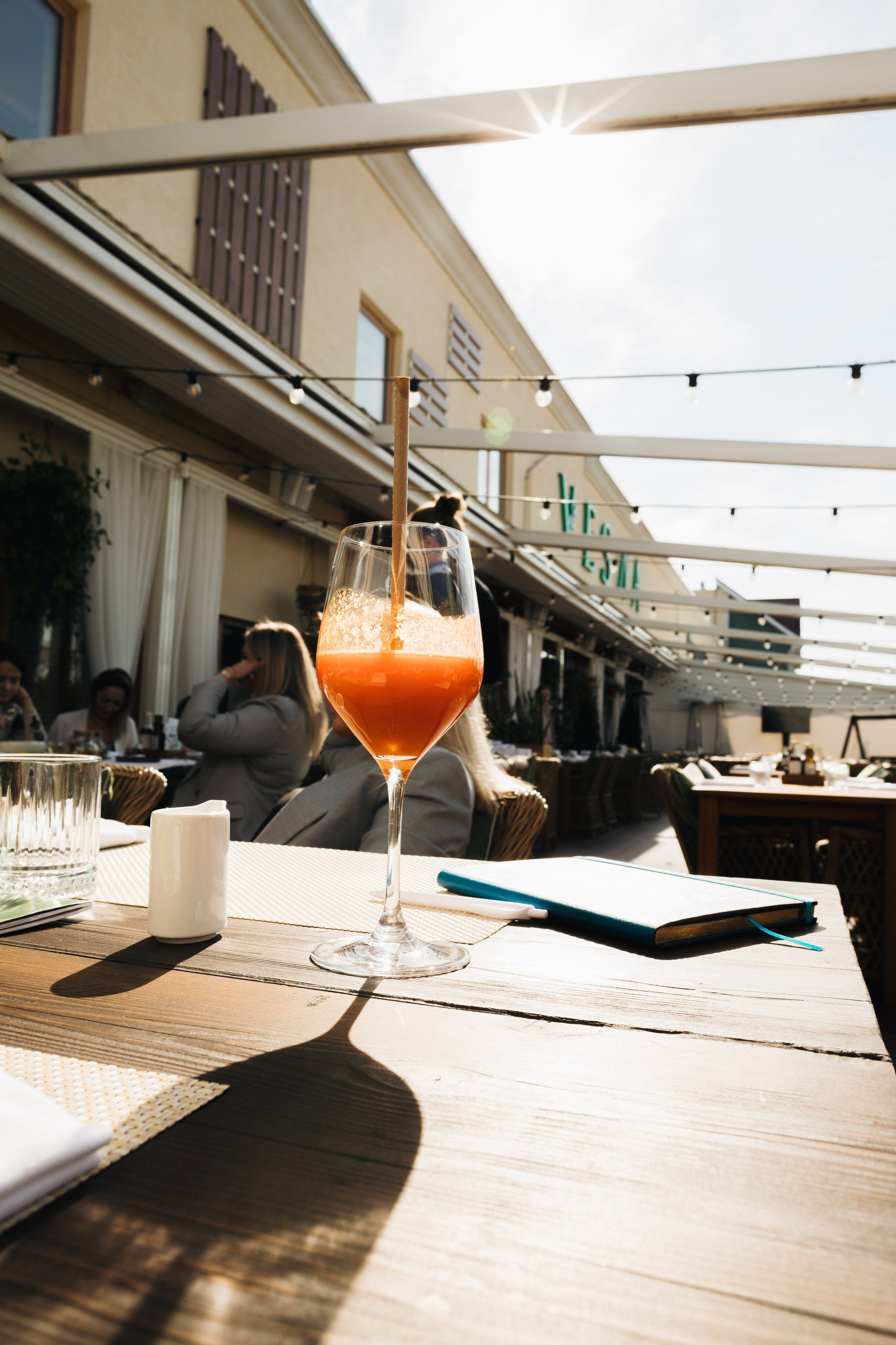 Ресторан Vesna Новая Рига, встреча клуба. Портретный фотограф в Москве и МО Зимина Татьяна