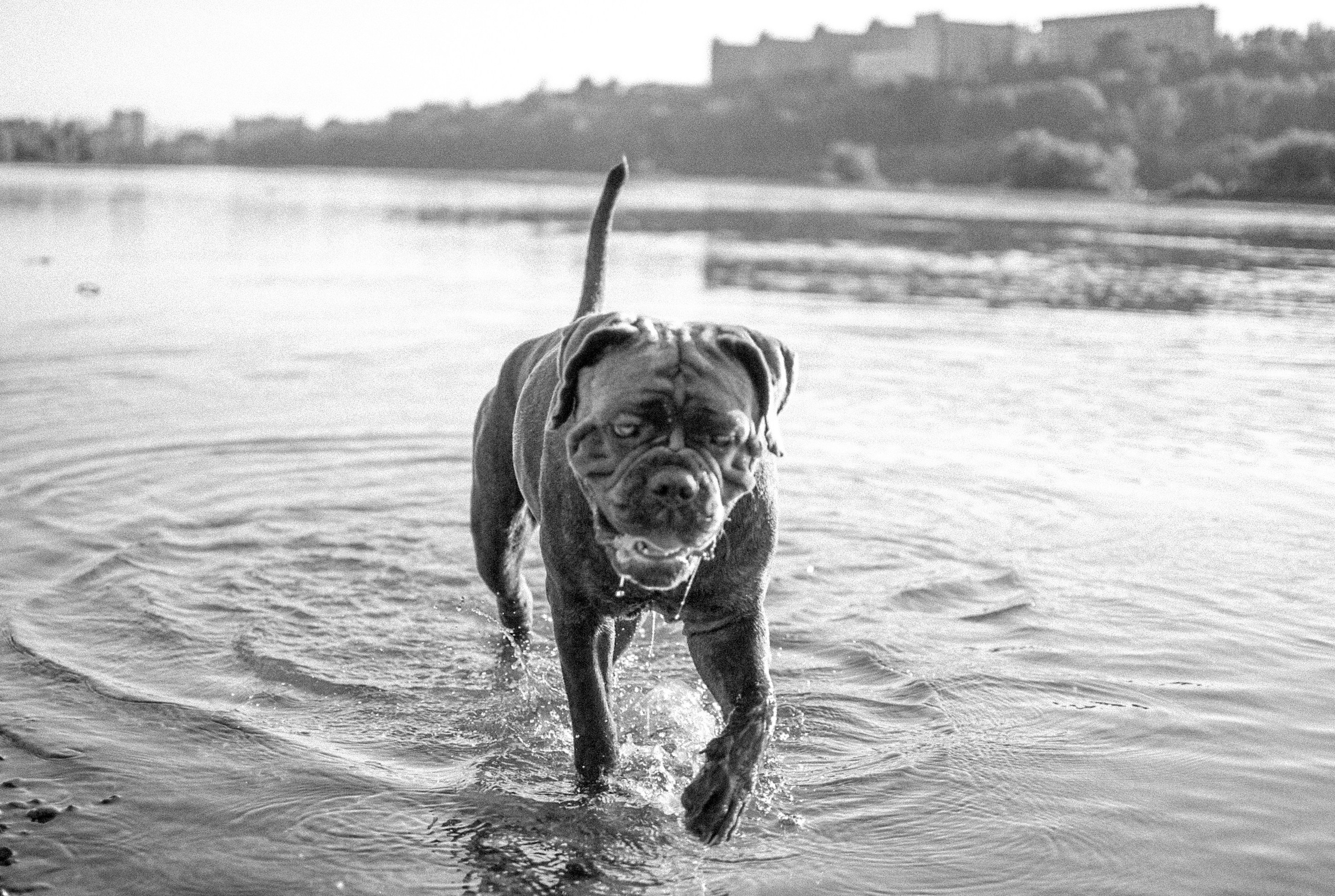 6 months. Арт-фотограф в Калининграде