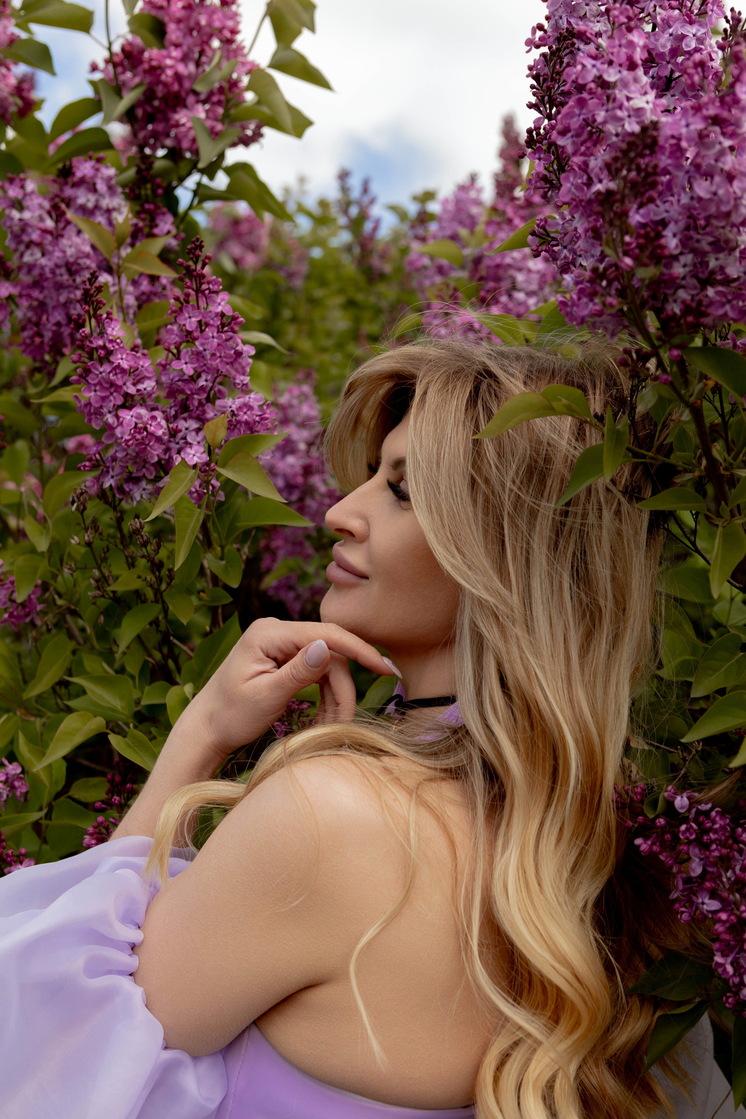 Сирень. Наталья Косьянова. Ваш фотограф. Москва