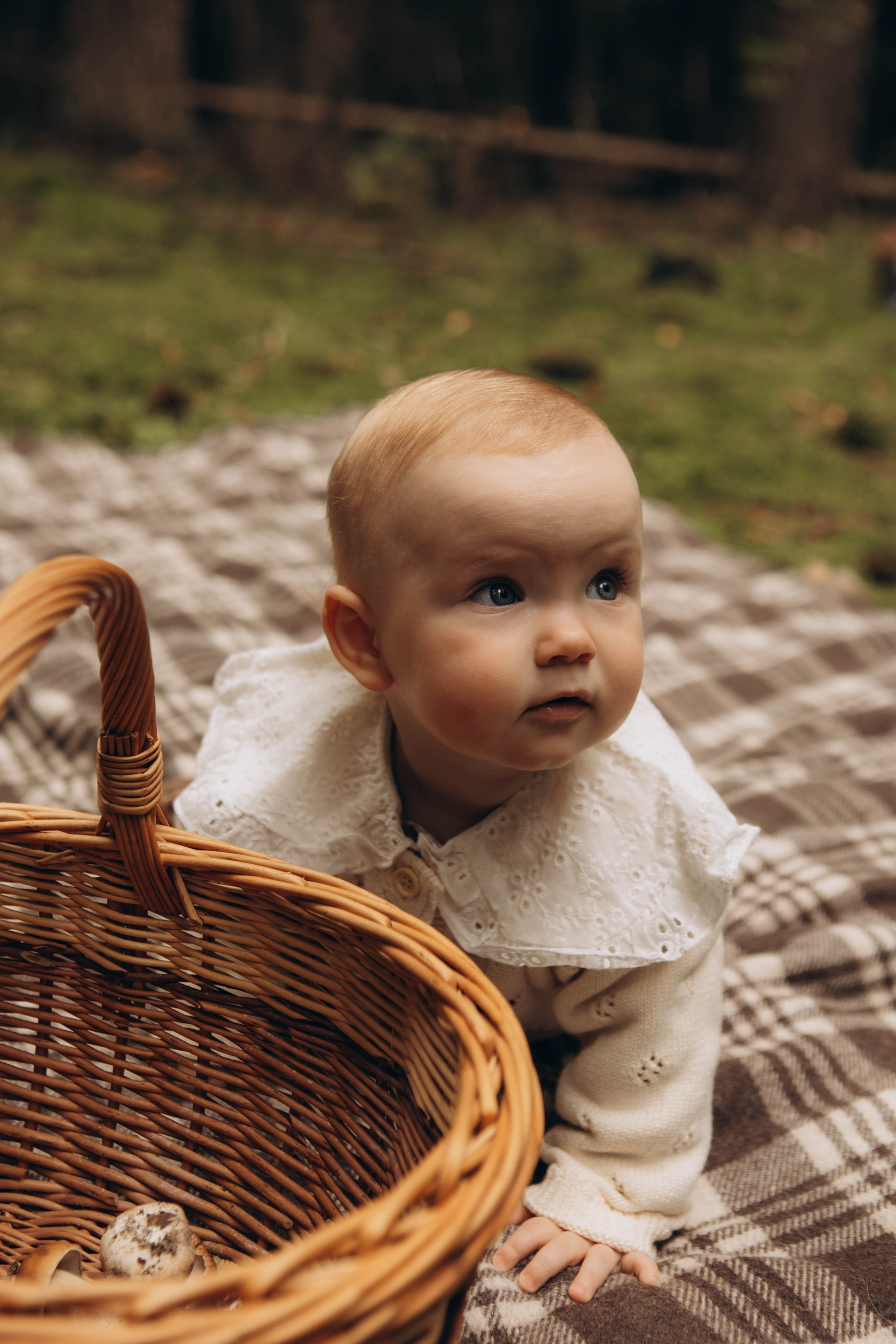 Лесная история. Наталья Косьянова. Ваш фотограф. Москва