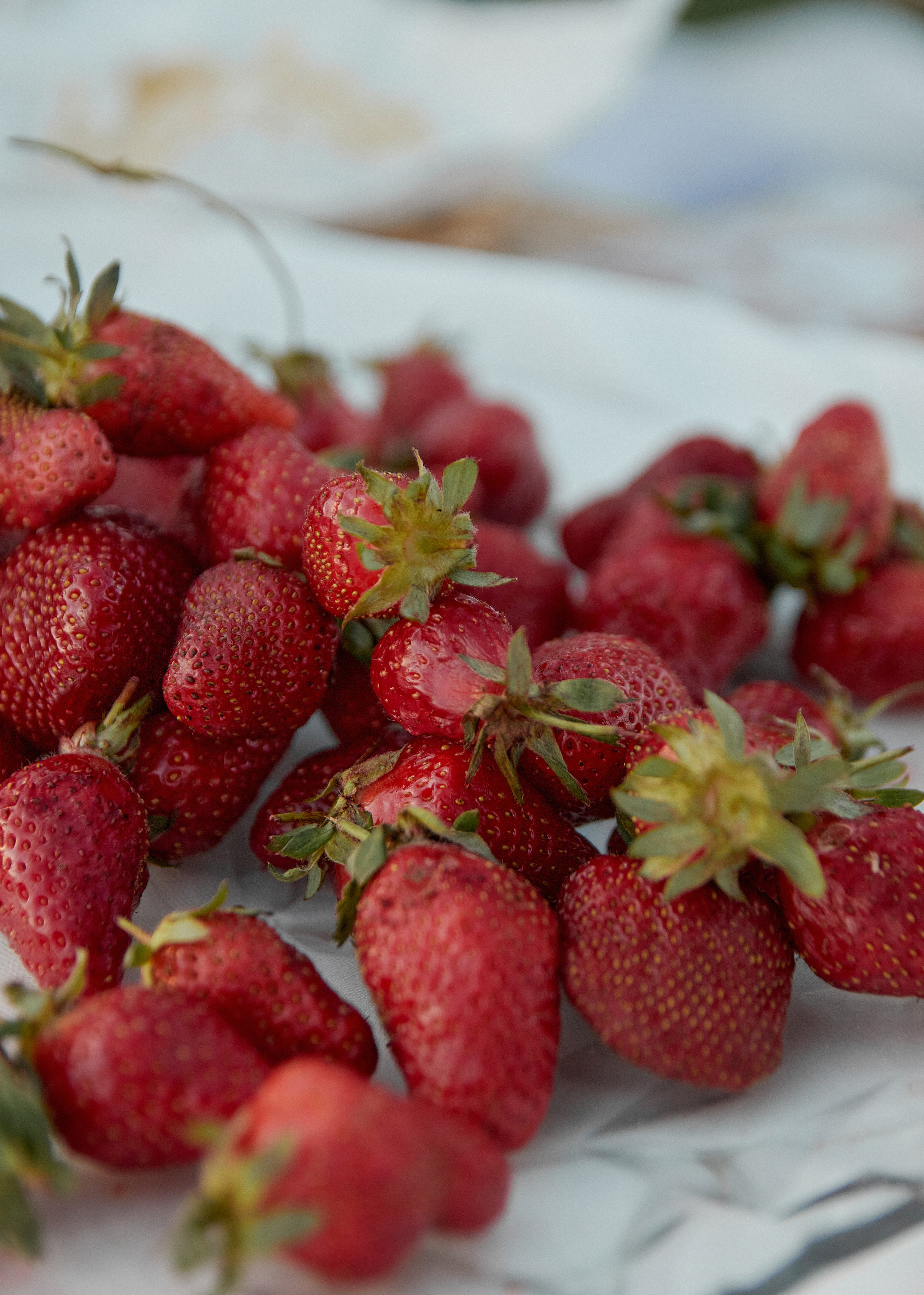 День рождения Лены. Фотограф Валерия Крахмалева