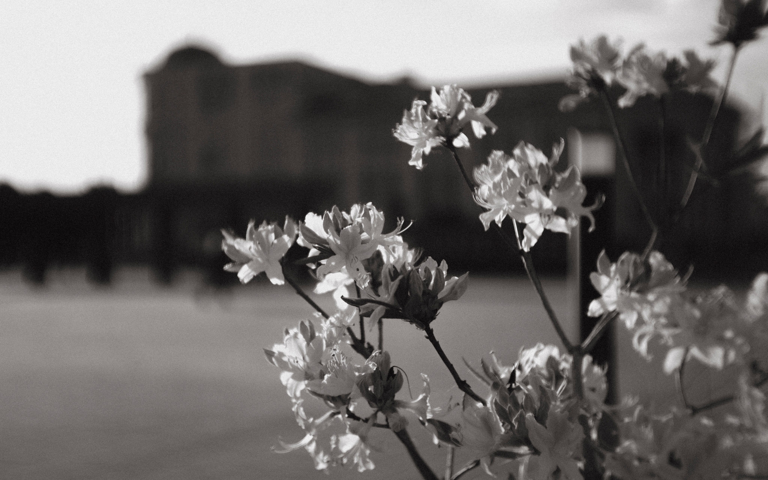 Пейзажи. Фотограф Димитровград Казань Валерия Владимиркина