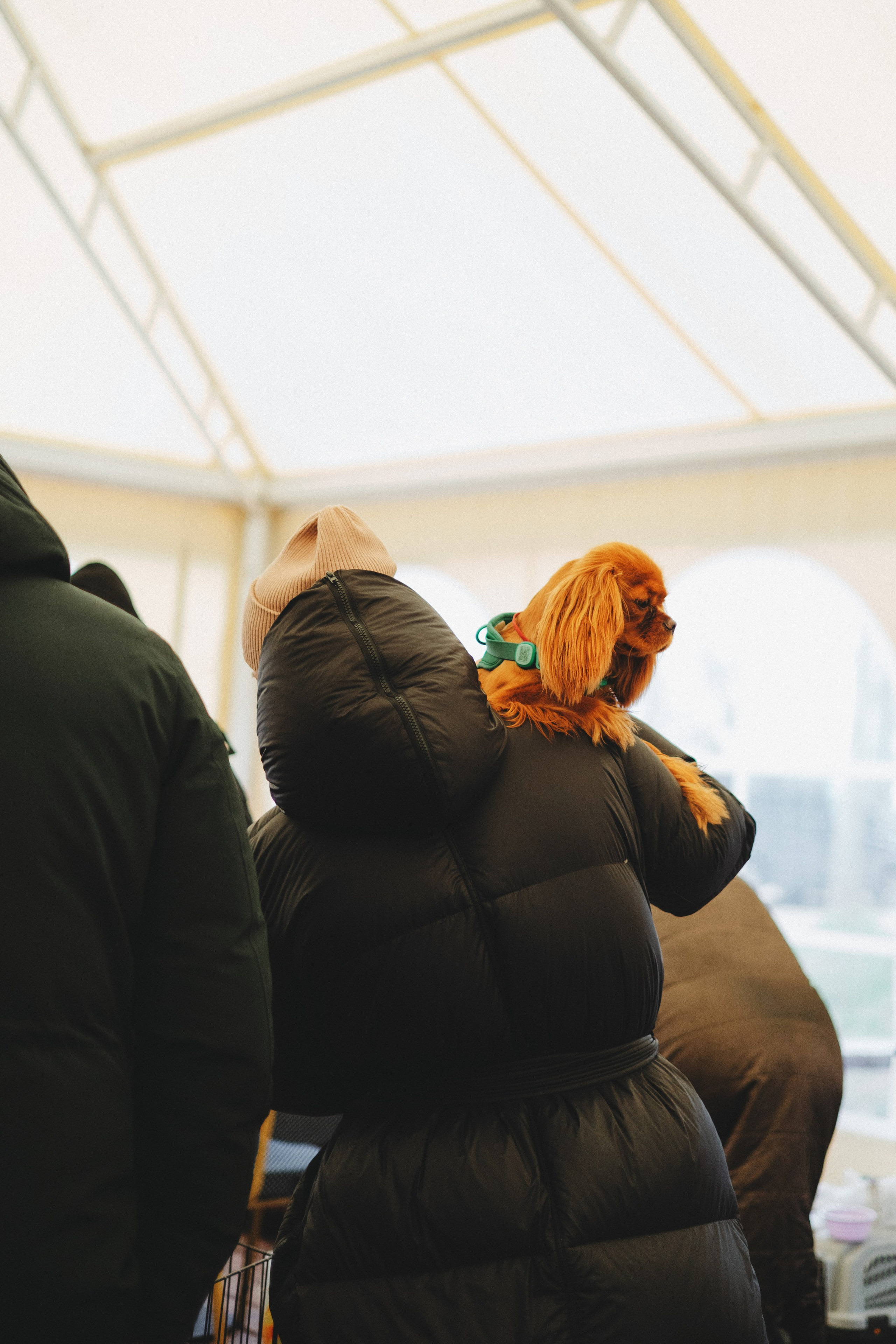 Встреча ККЧС. Фотограф анималист Осипчикова Мария