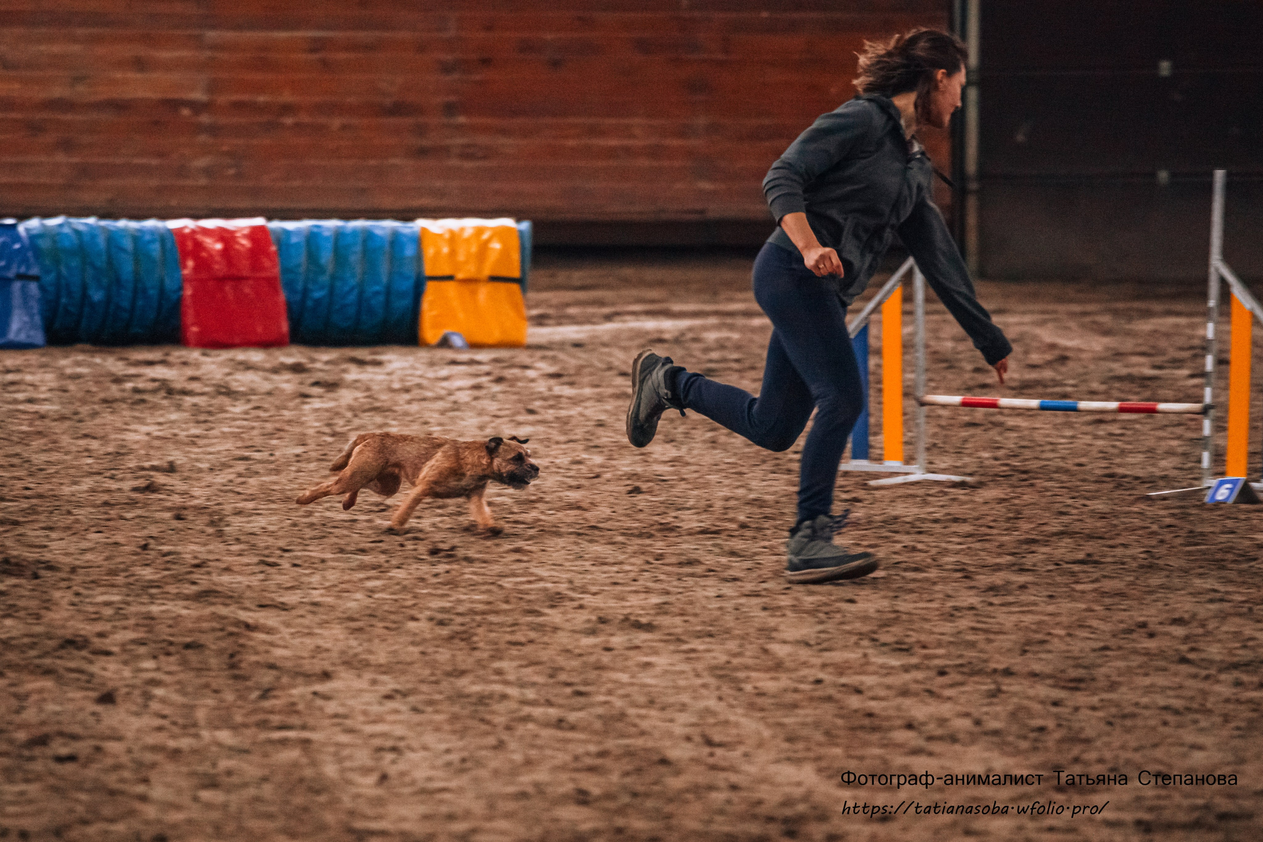 Соревнования по Аджилити 25.02.2024. Фотограф-анималист Татьяна Степанова