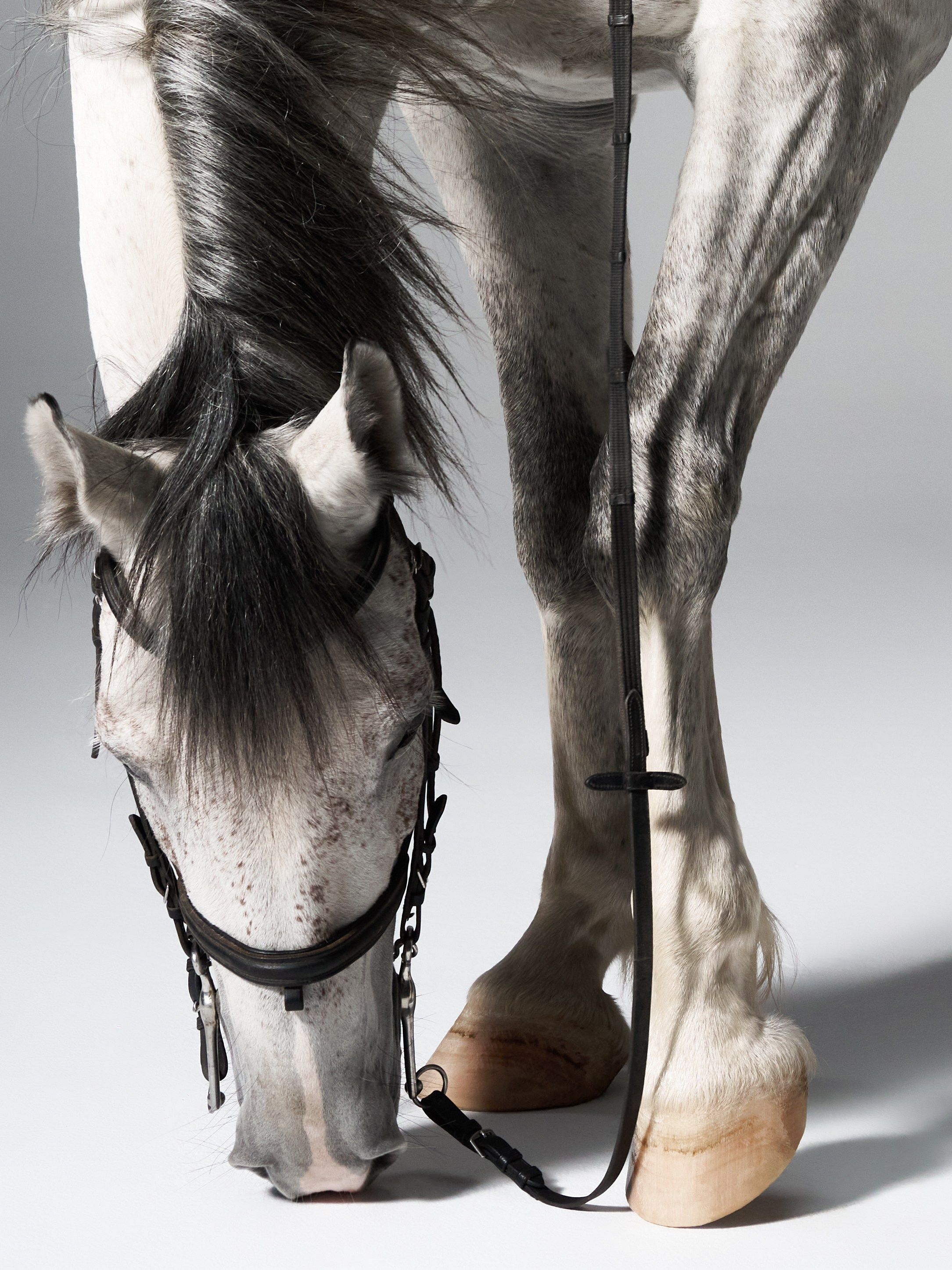 Walk of Shame. Ретушер для брендов одежды в Москве Струцкая Кристина