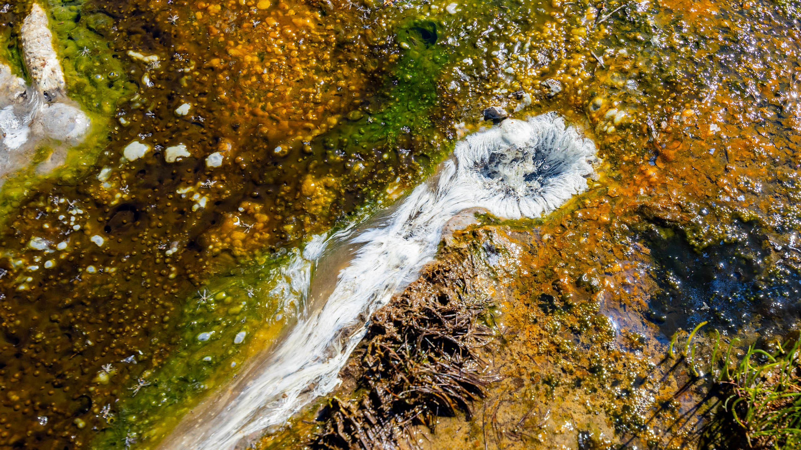 2023 07 Камчатка. Фотографии