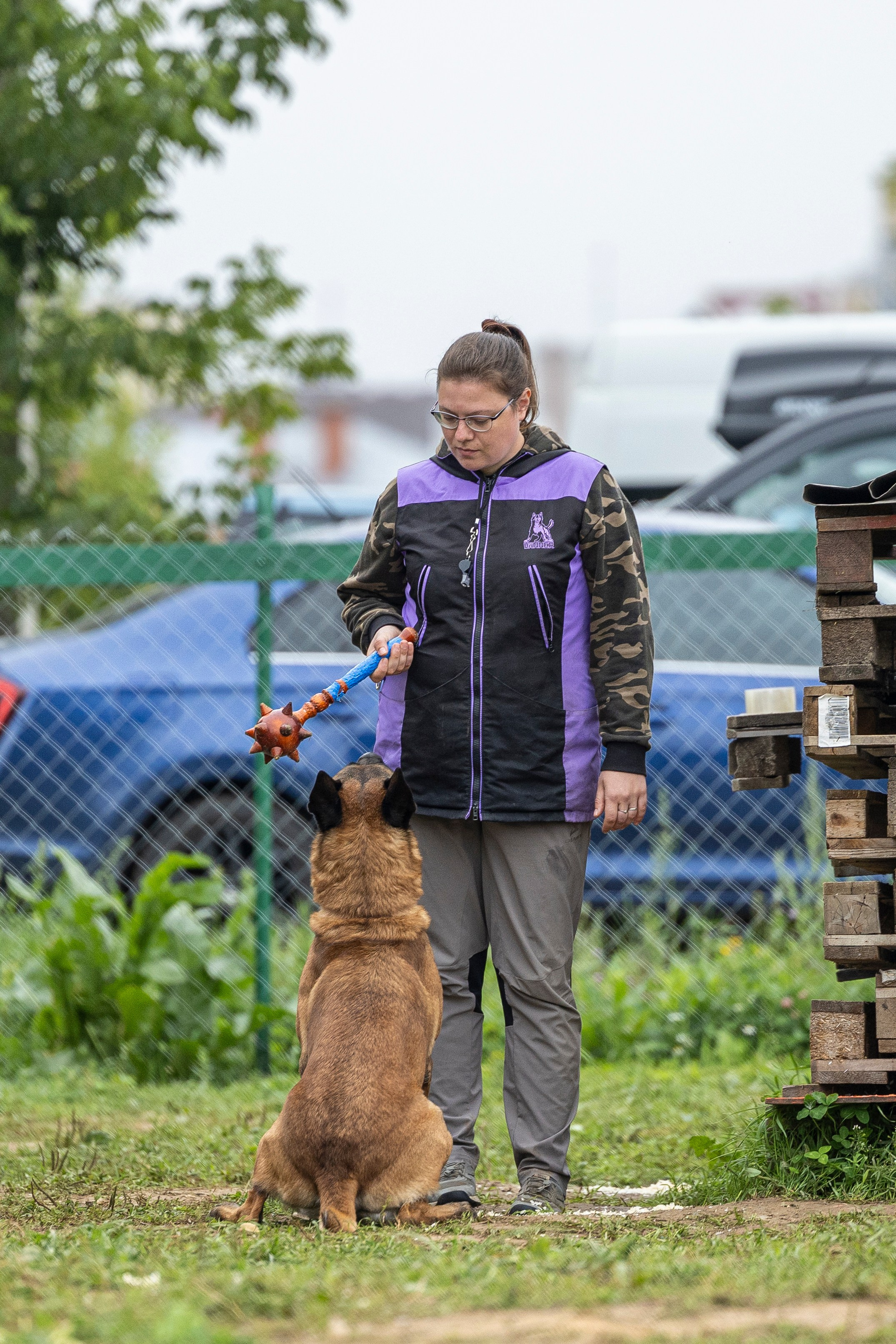 Соревнования по Мондьорингу г. Вологда 10-11.08.2024. Фотограф-анималист Анна Маринич