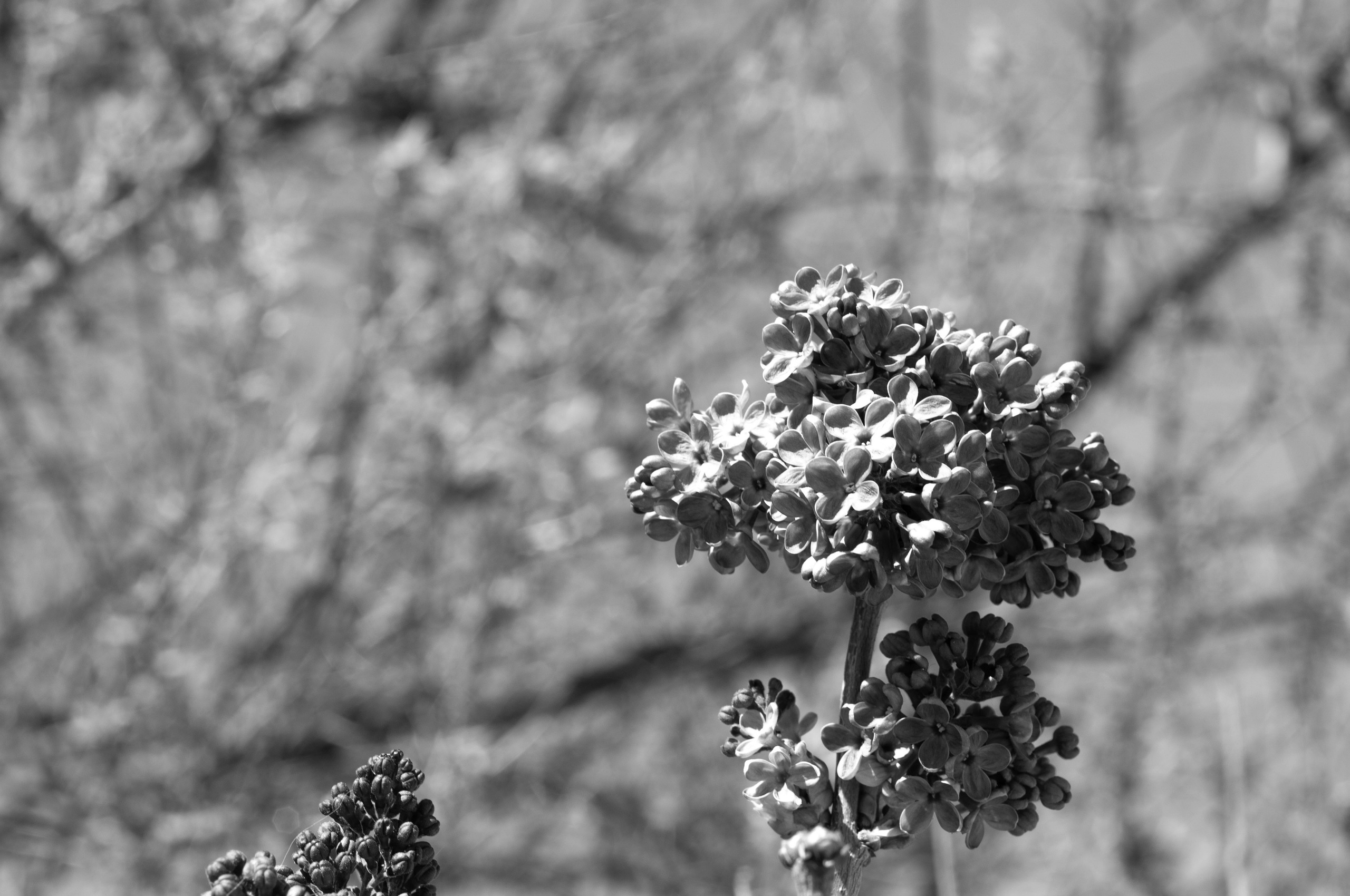 Для души. Сейчас вылетит ПТИЧКА! Фотосессии в Керчи