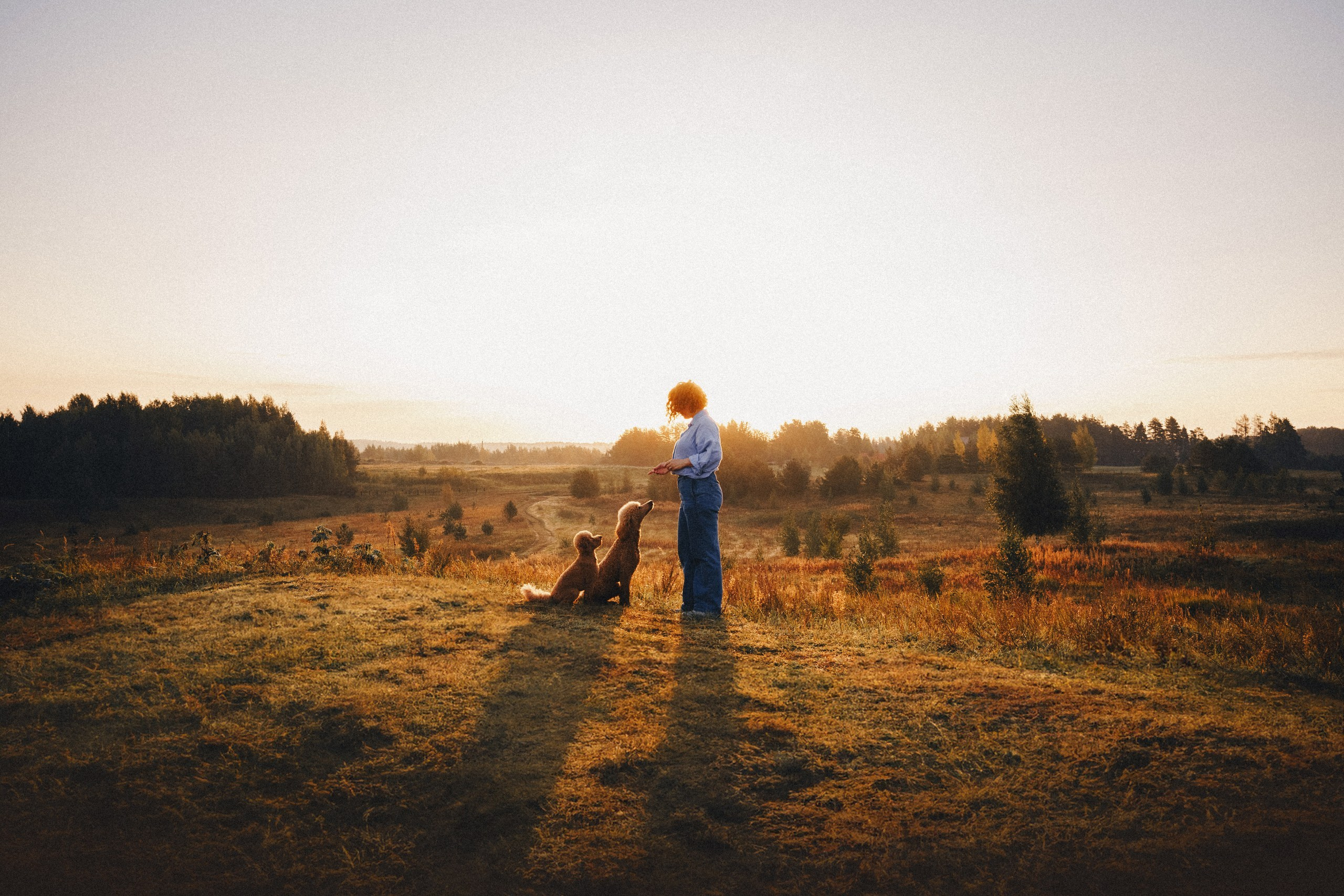 Юля, Кир и Цера. Фотограф анималист Осипчикова Мария
