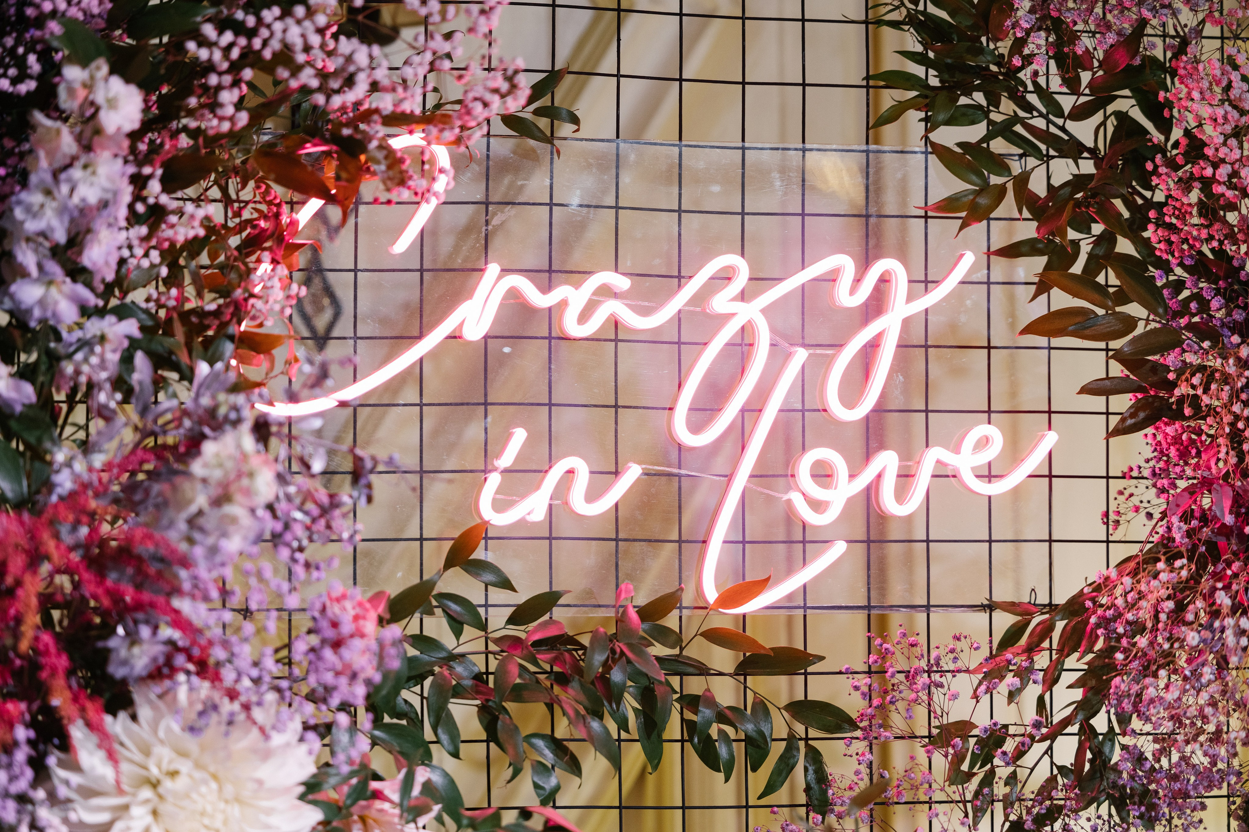 Татьяна и Николай. Свадебный фотограф Москва