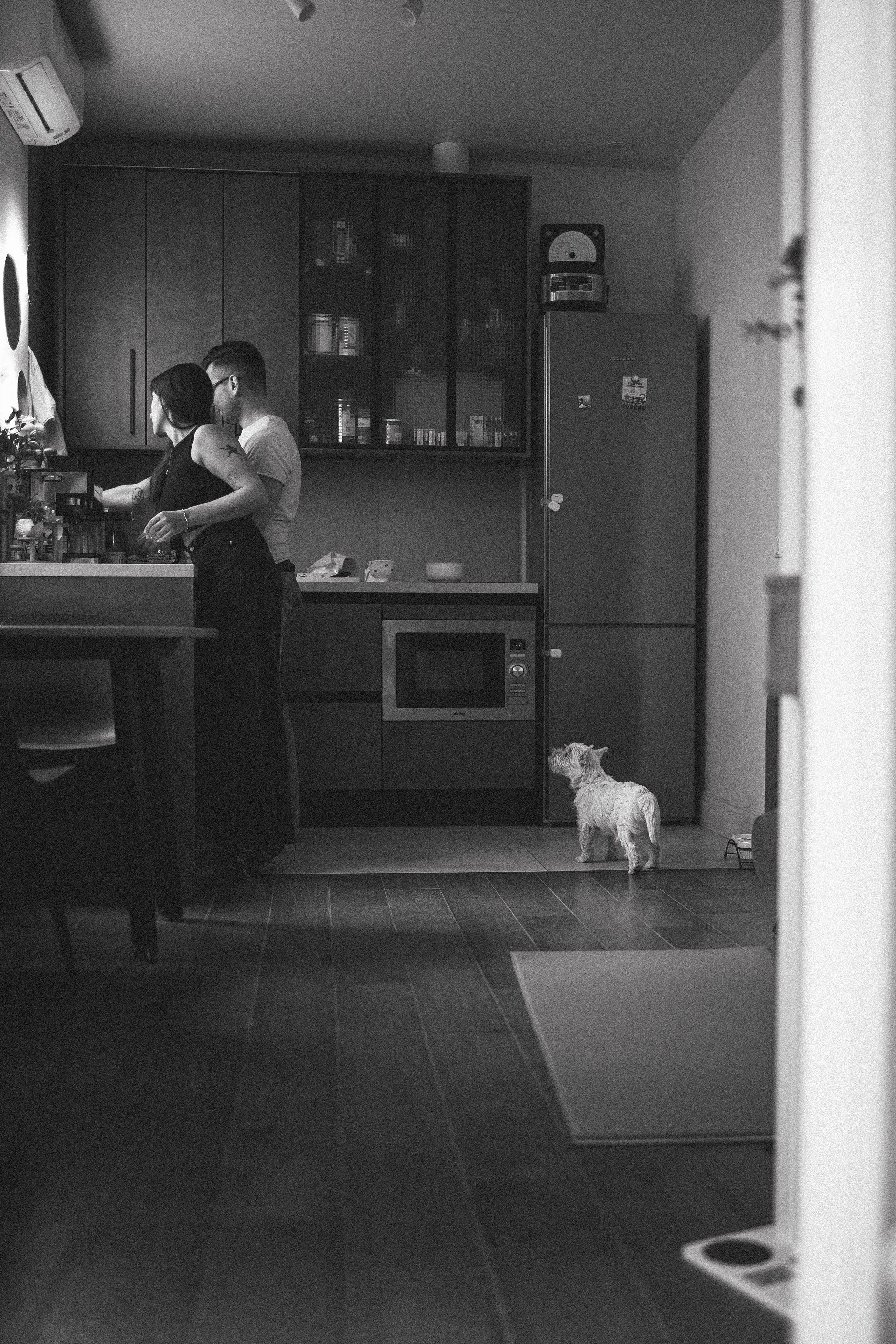 Снежуля, Мари и Саша. Фотограф анималист Анастасия Пикей