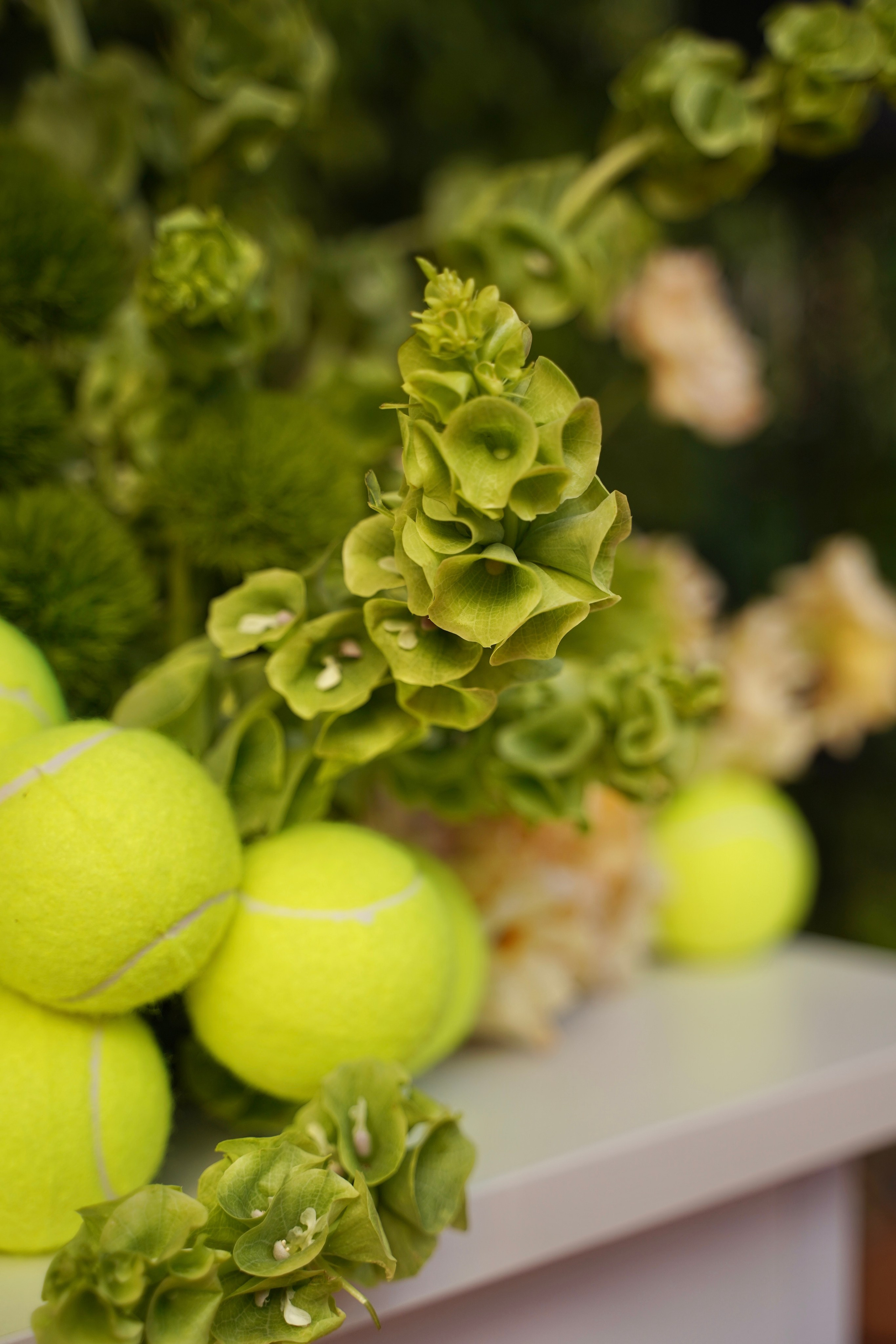 Dech.art.bureau — NRAV. Семейный и детский фотограф в Москве